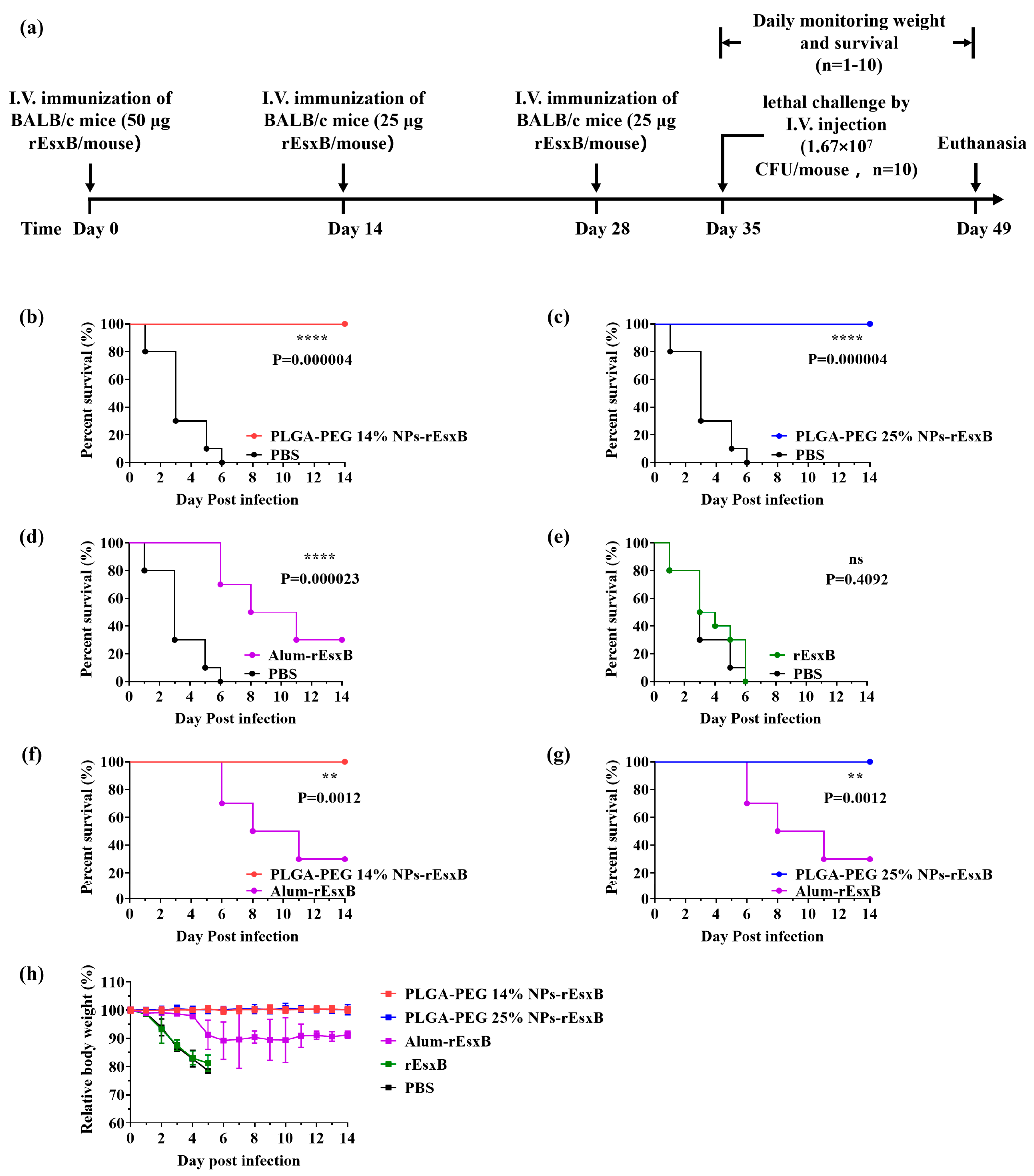 Vaccines 12 00125 g005