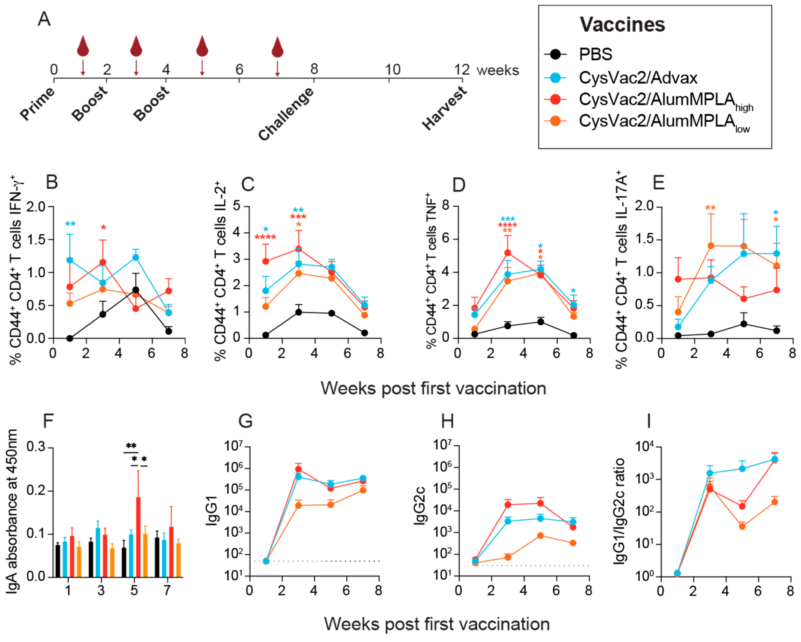 Vaccines 12 00128 g001