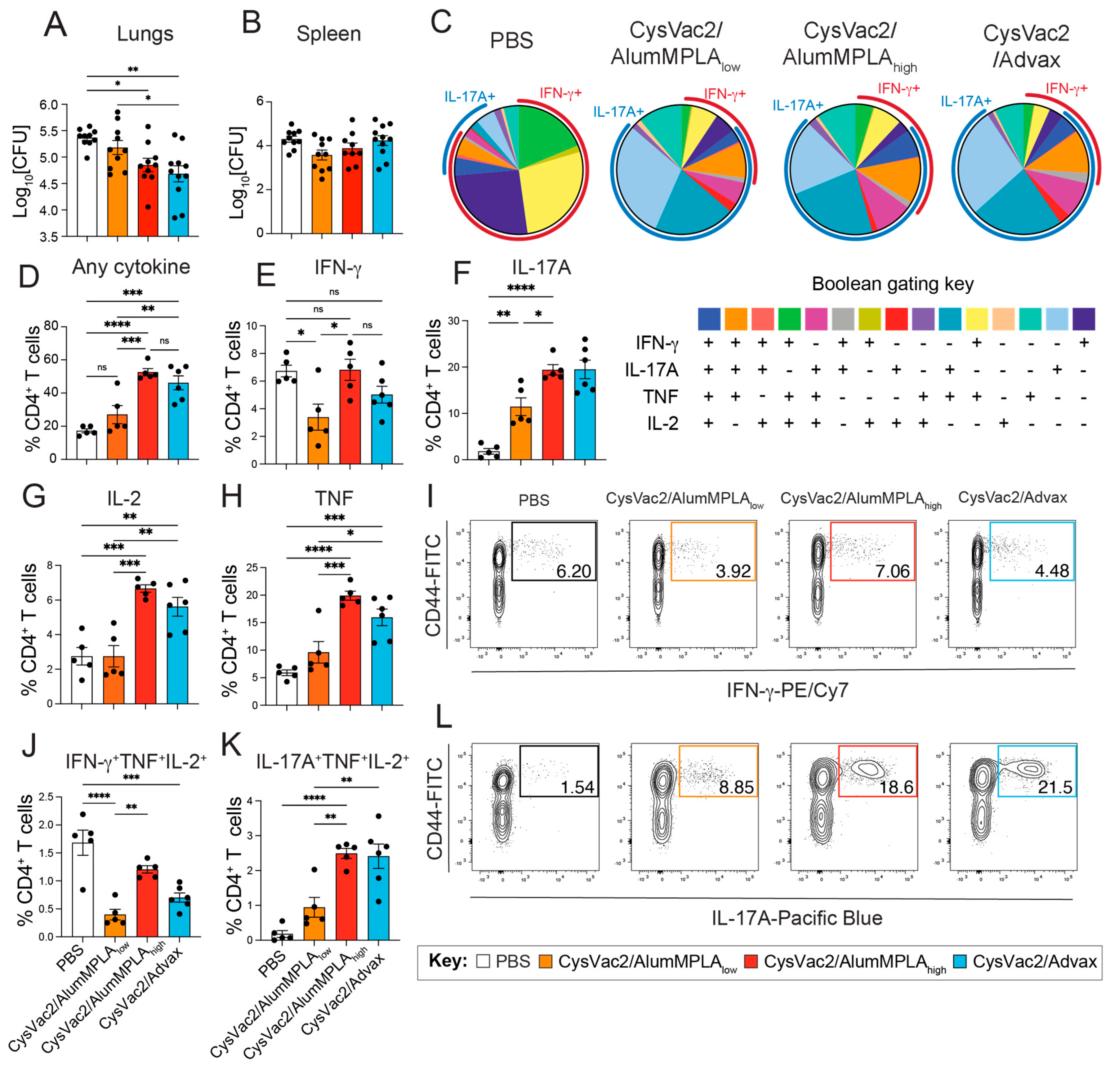 Vaccines 12 00128 g002