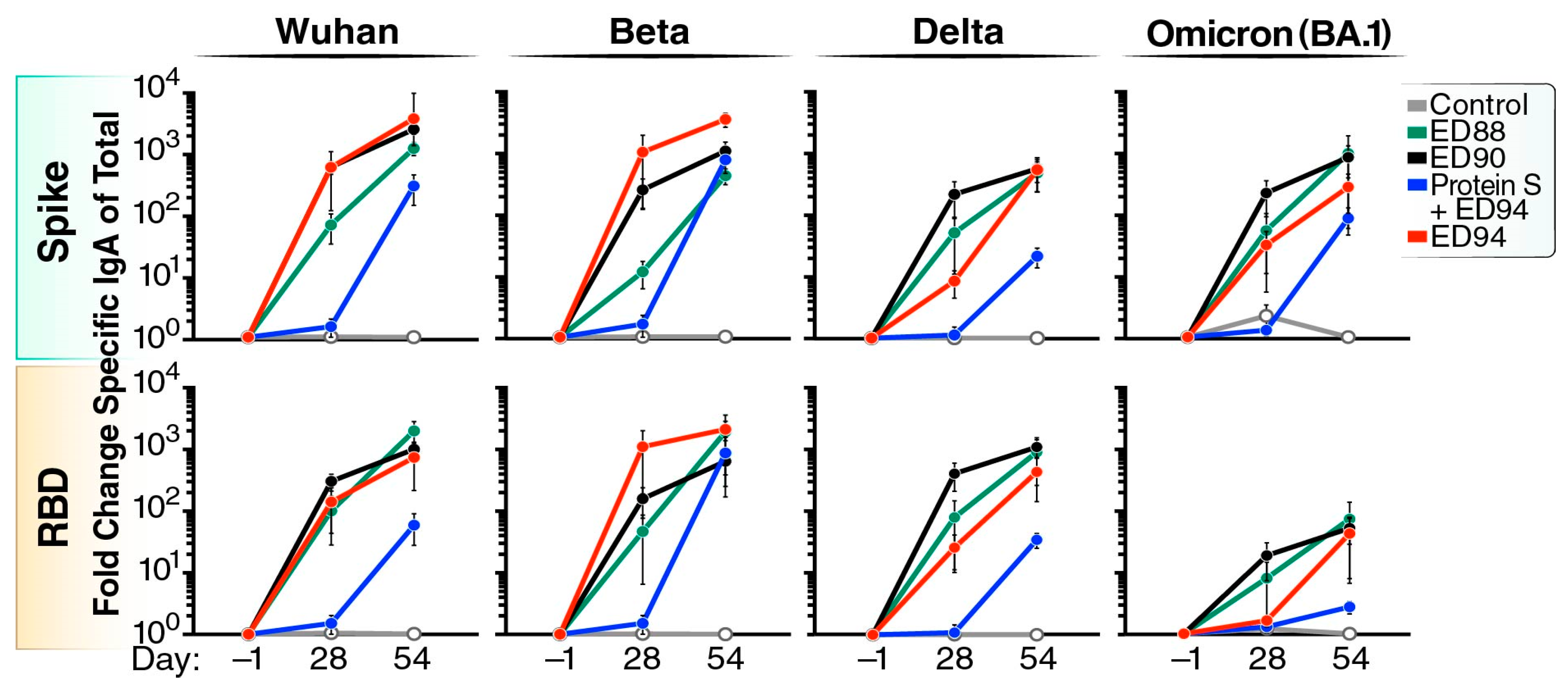 Vaccines 12 00132 g002