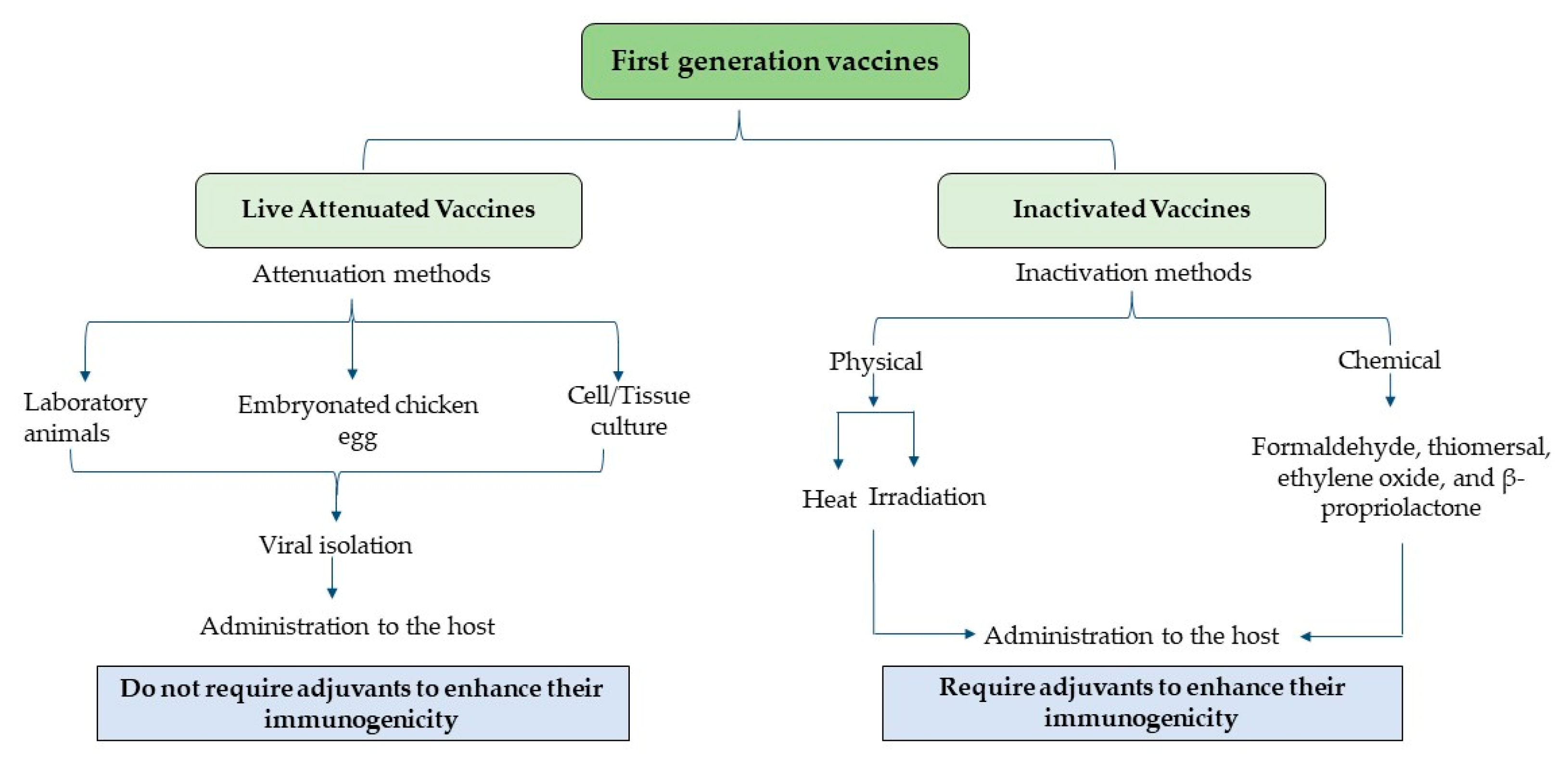 Vaccines 12 00134 g001 Vaccines 12 00134 g001