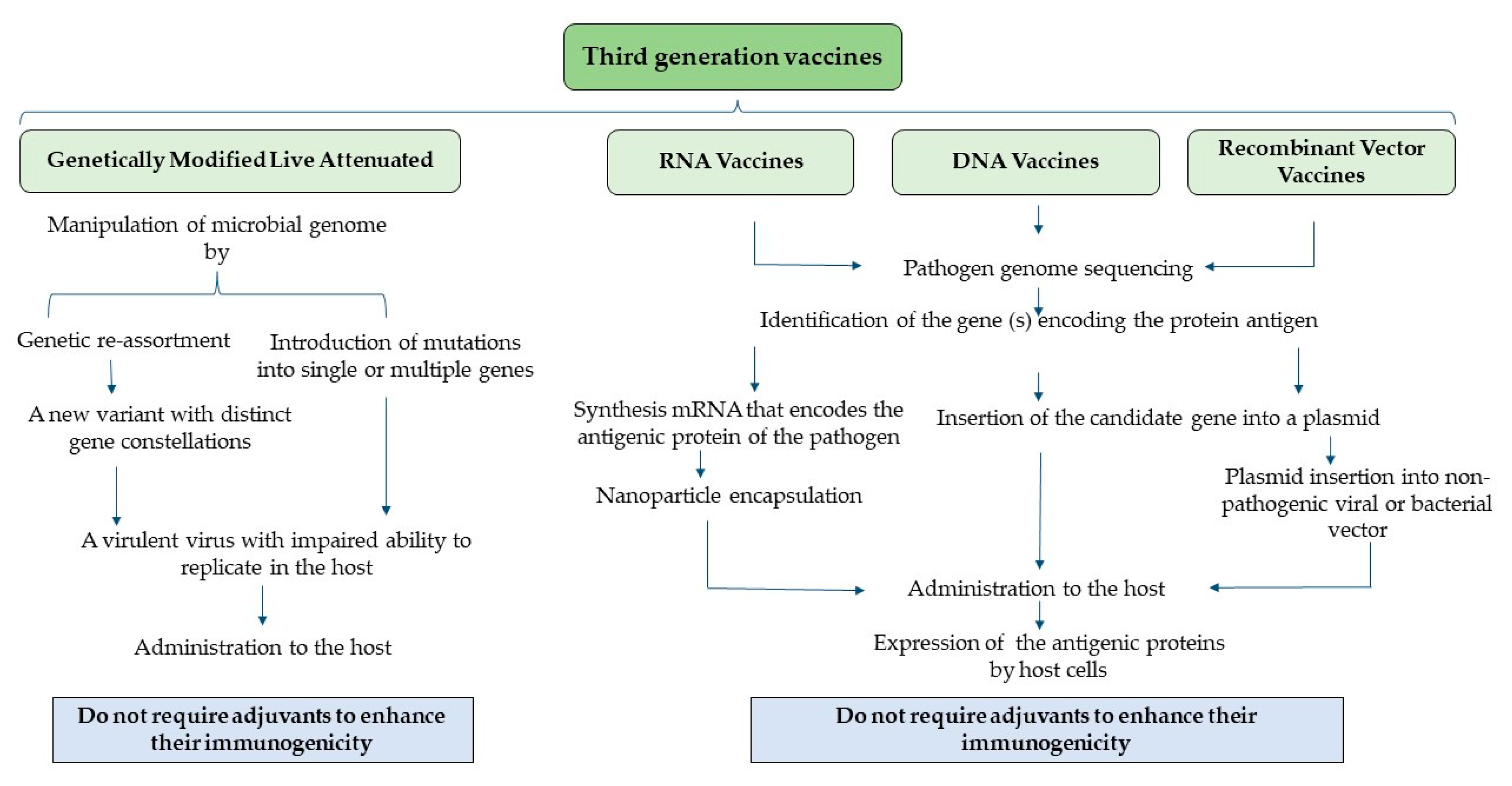 Vaccines 12 00134 g004 Vaccines 12 00134 g004