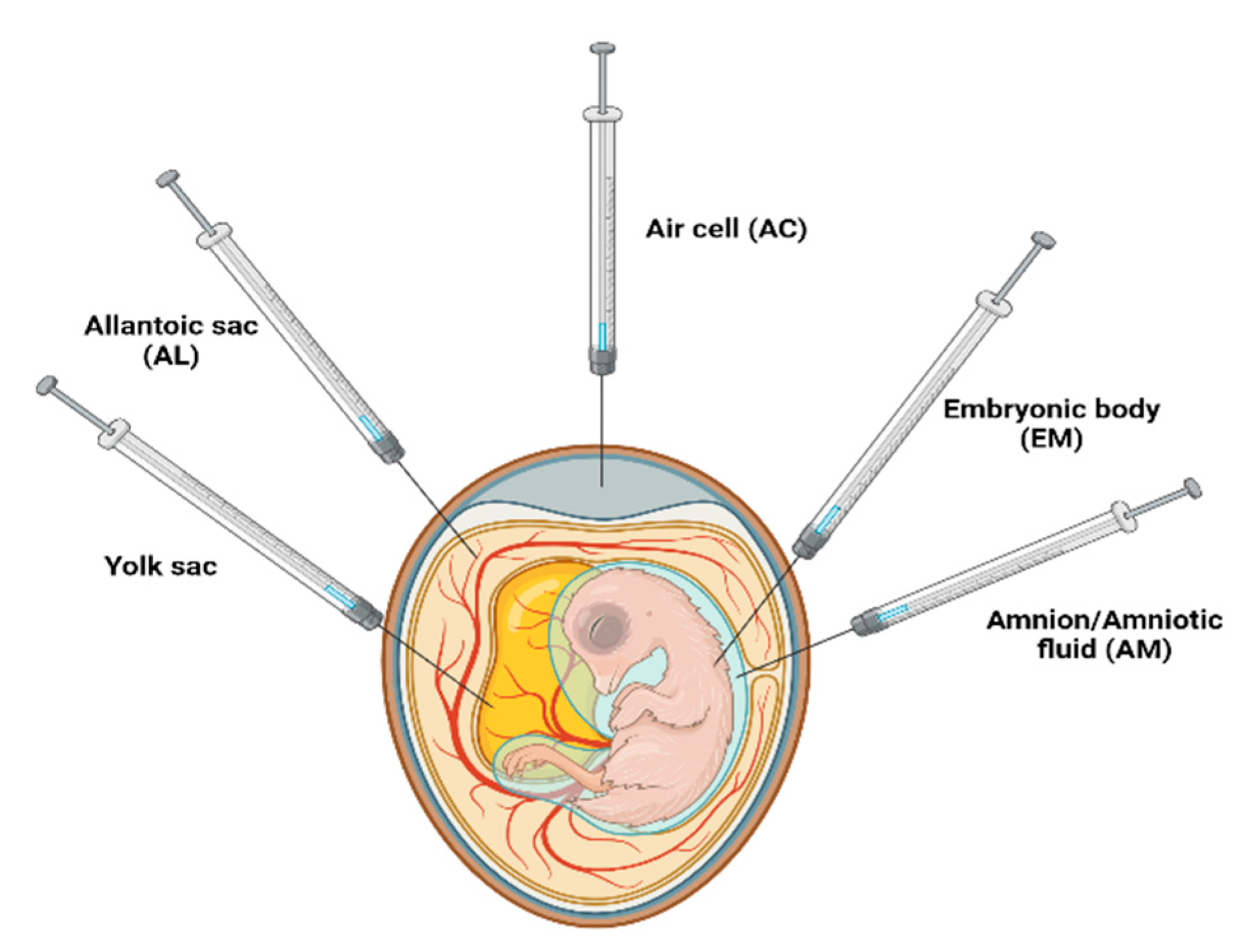 Vaccines 12 00134 g008 Vaccines 12 00134 g008