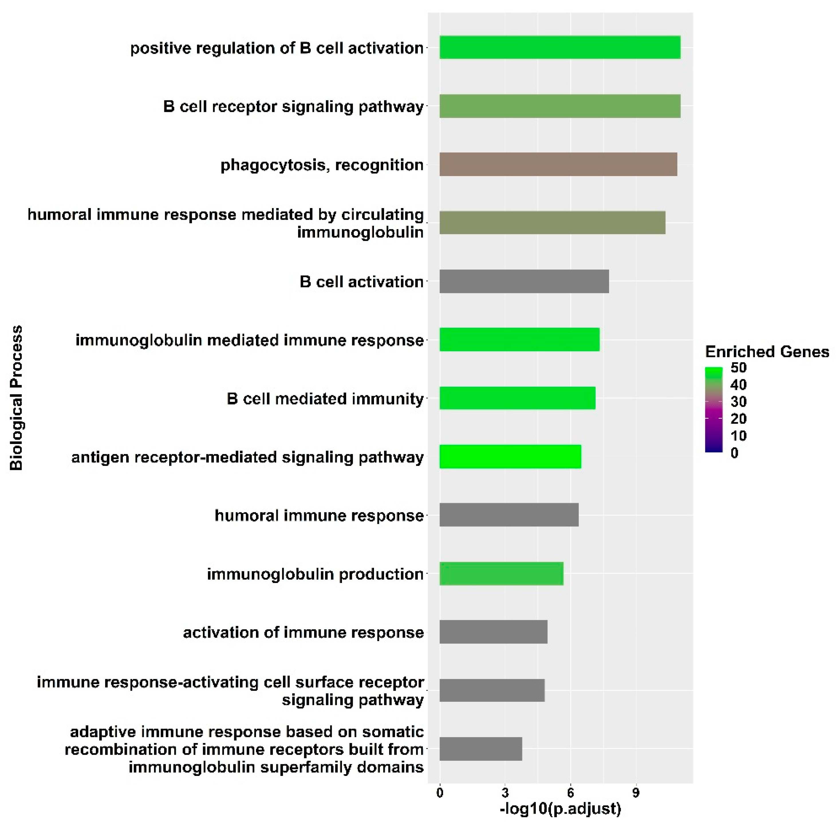 Vaccines 12 00136 g003