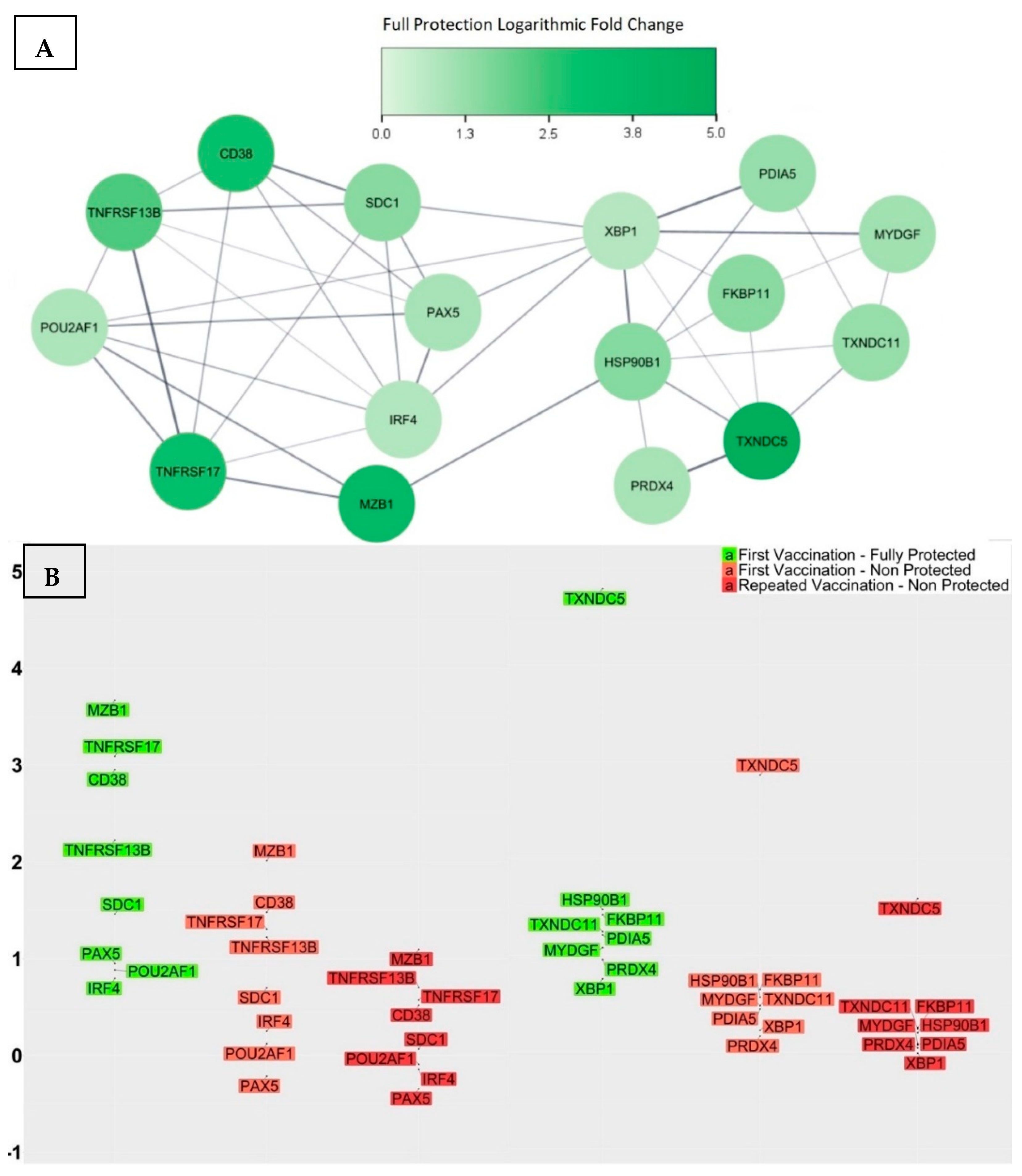 Vaccines 12 00136 g005