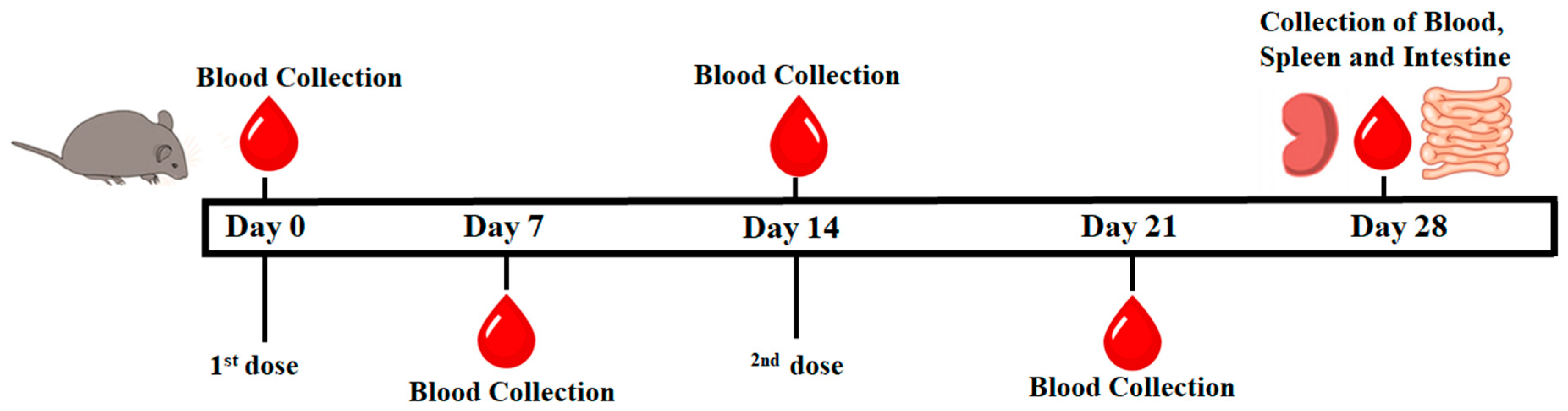 Vaccines 12 00139 g001