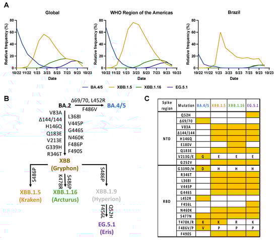 Vaccines 12 00144 g001