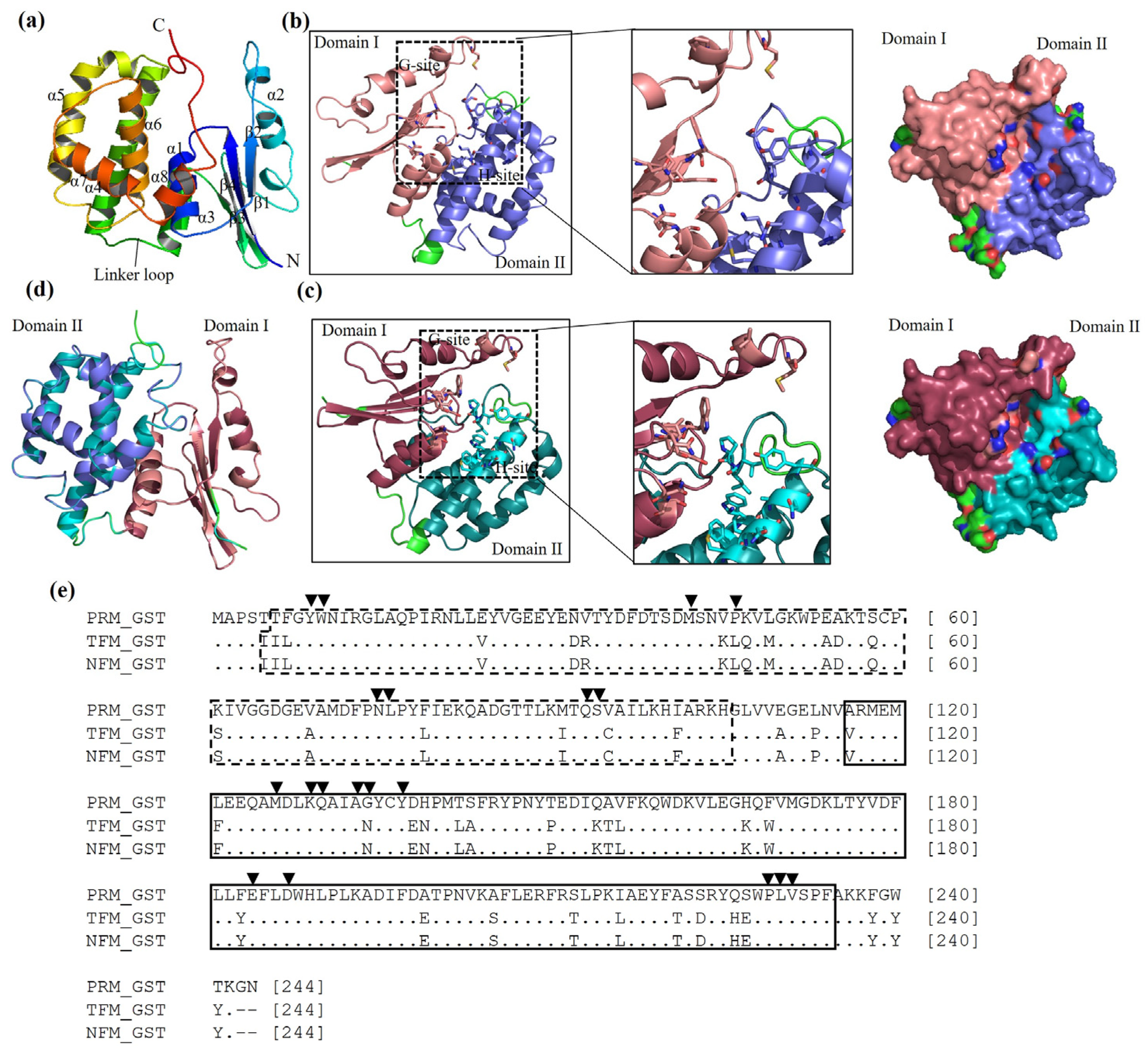 Vaccines 12 00148 g001