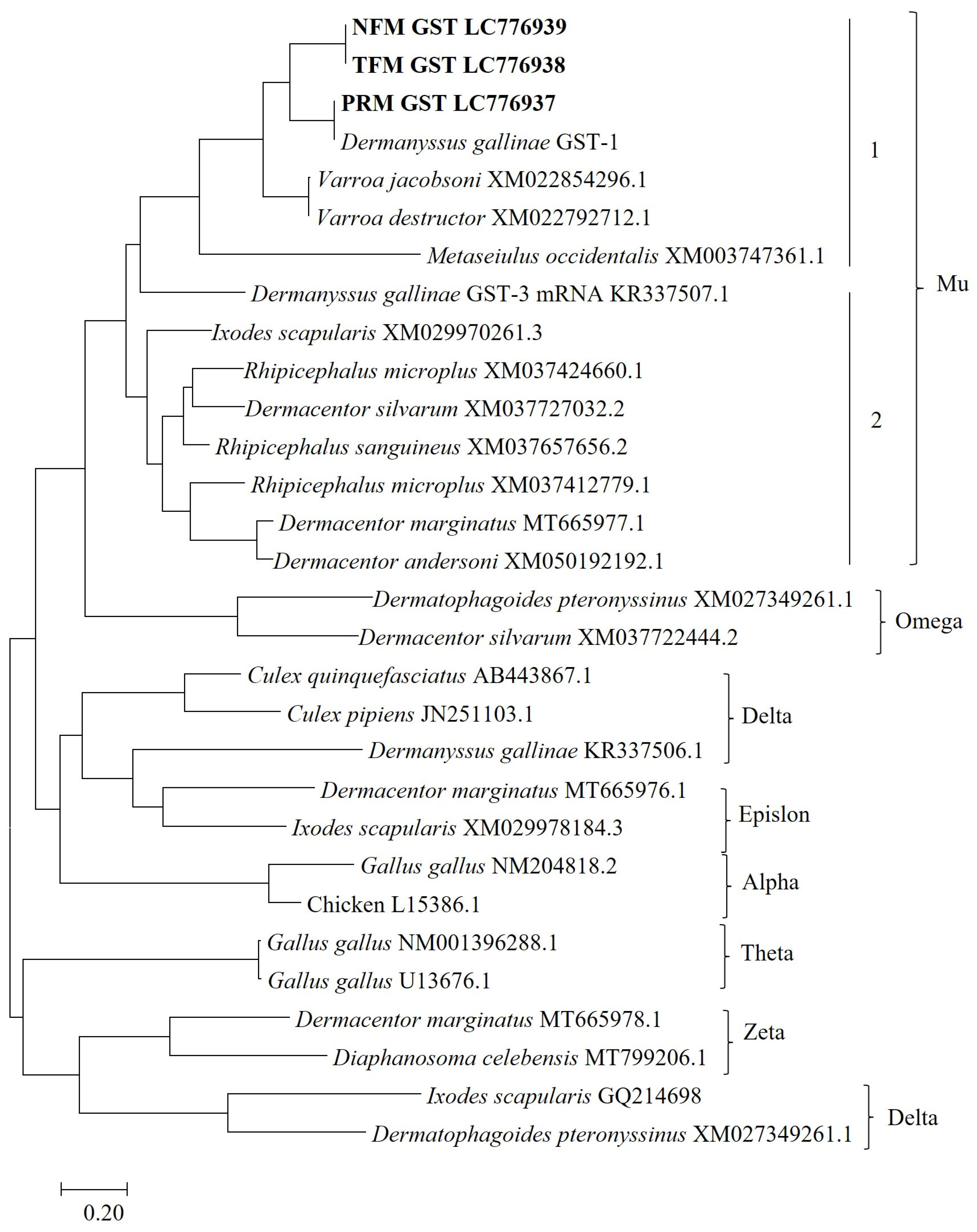 Vaccines 12 00148 g002