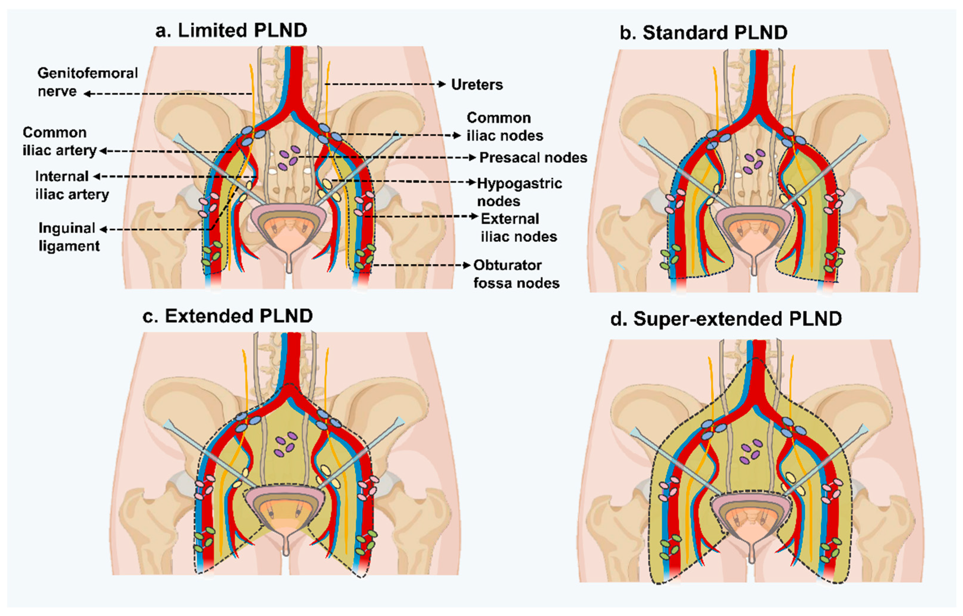 Vaccines 12 00150 g002