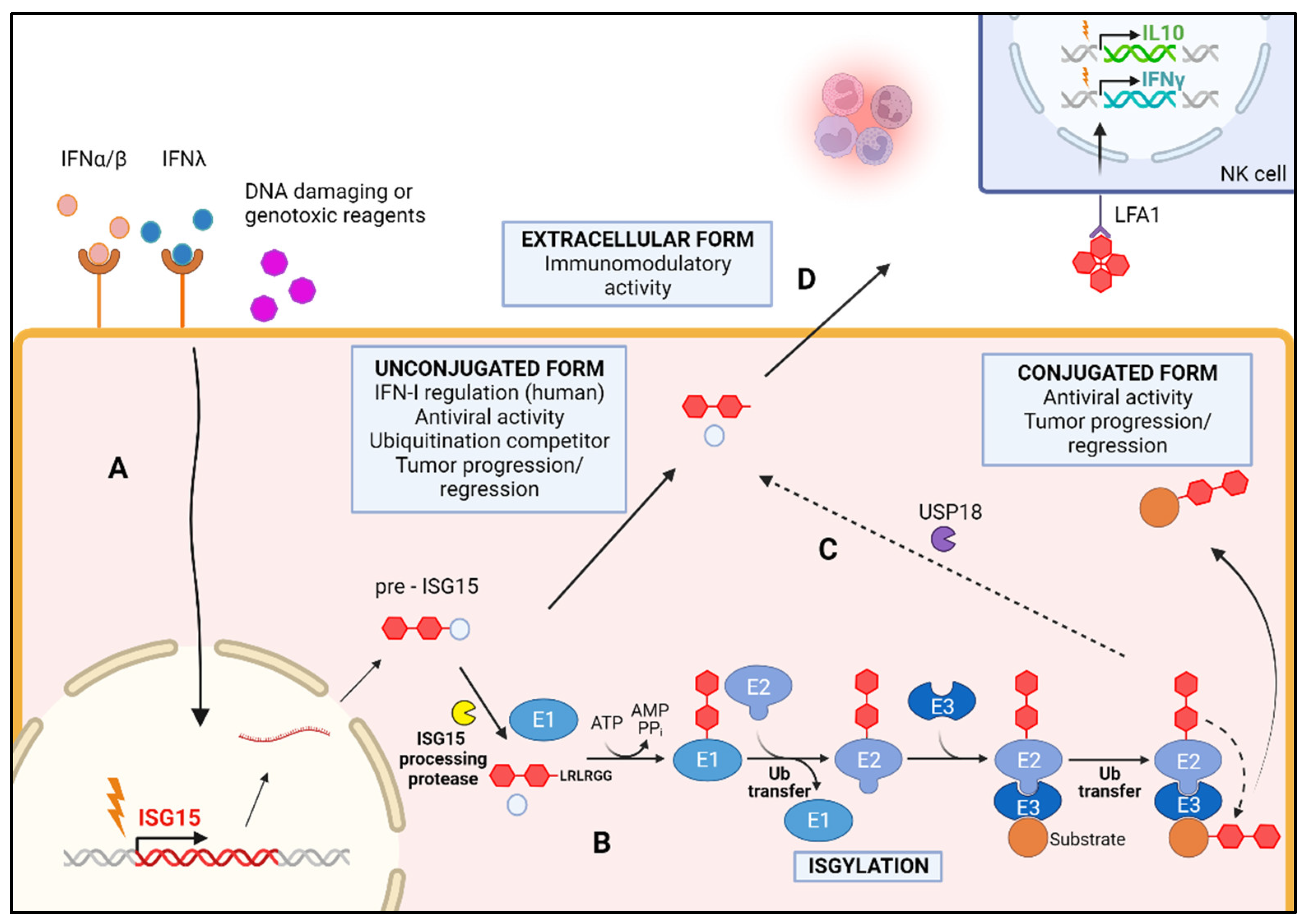 Vaccines 12 00153 g002