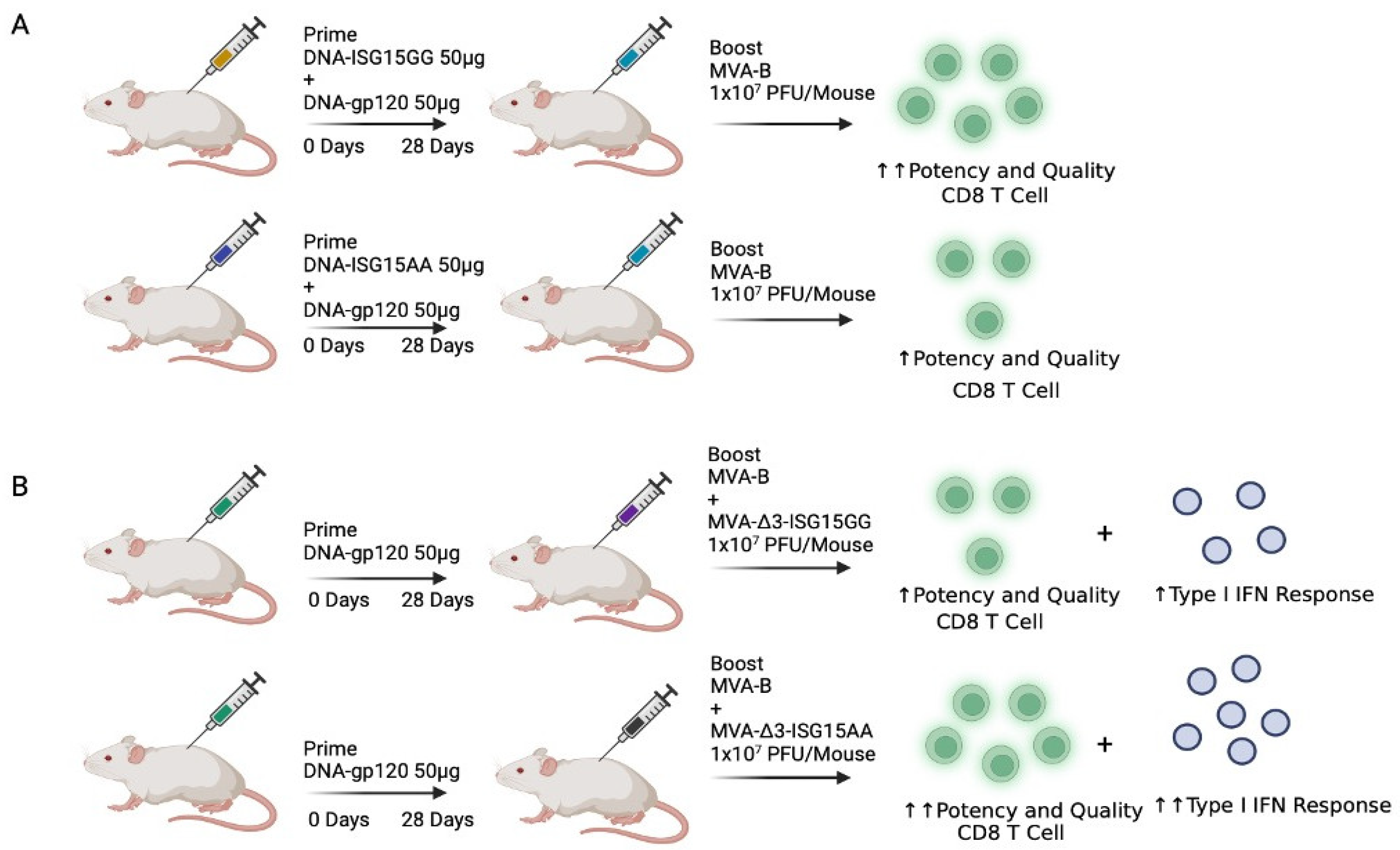 Vaccines 12 00153 g005