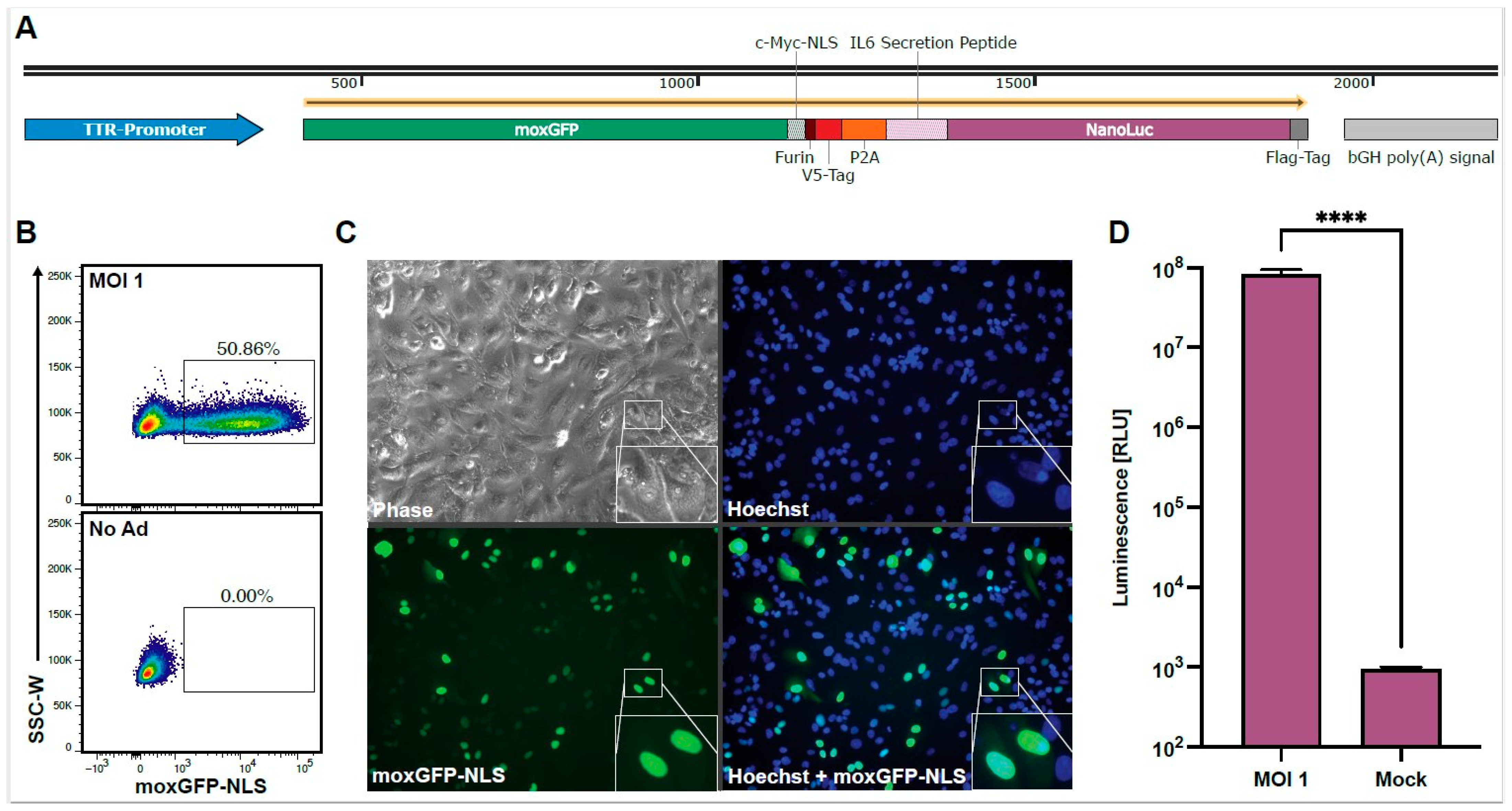 Vaccines 12 00155 g001