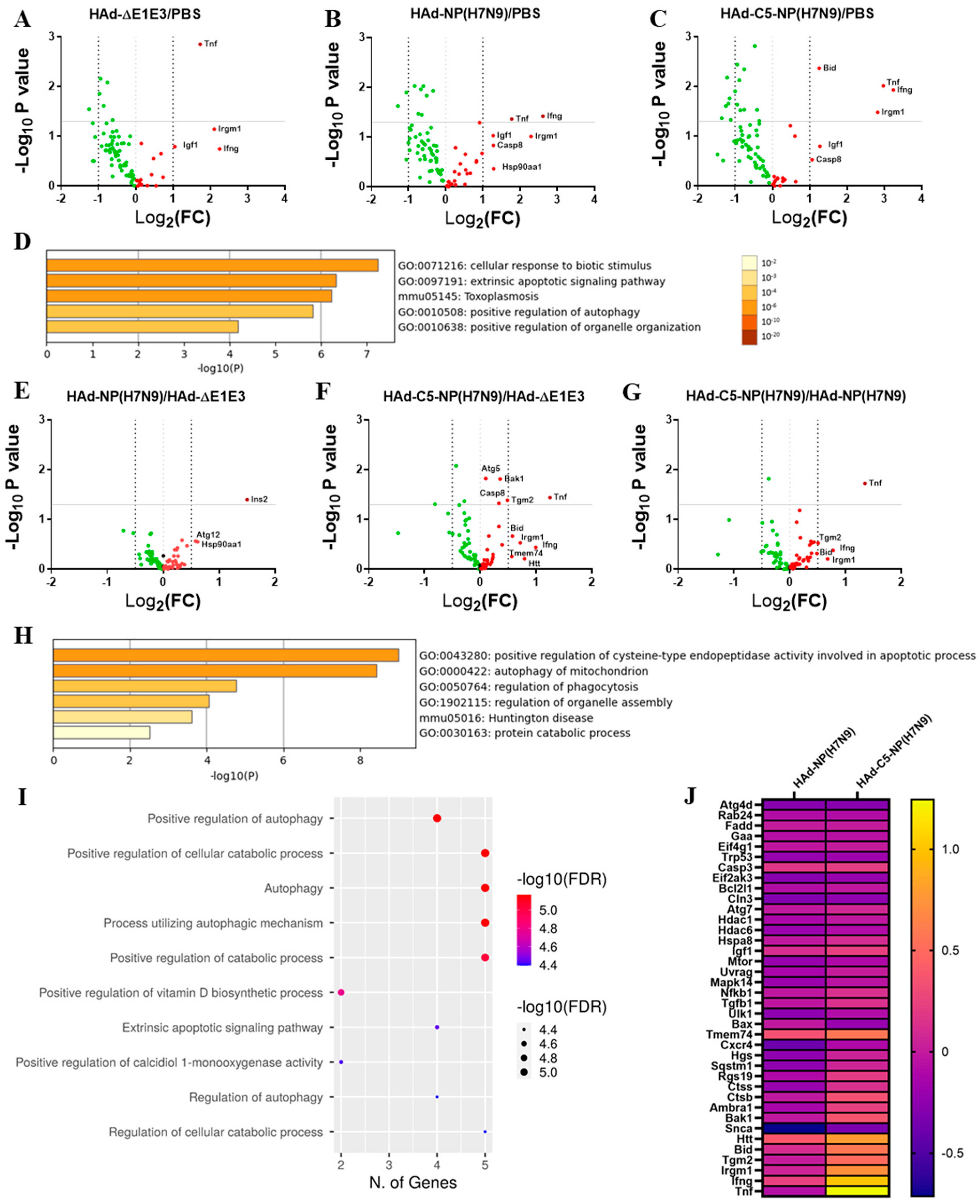 Vaccines 12 00157 g007