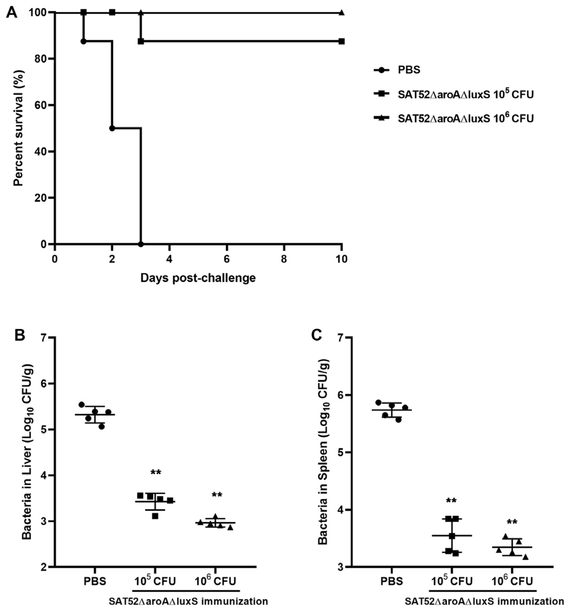Vaccines 12 00162 g004