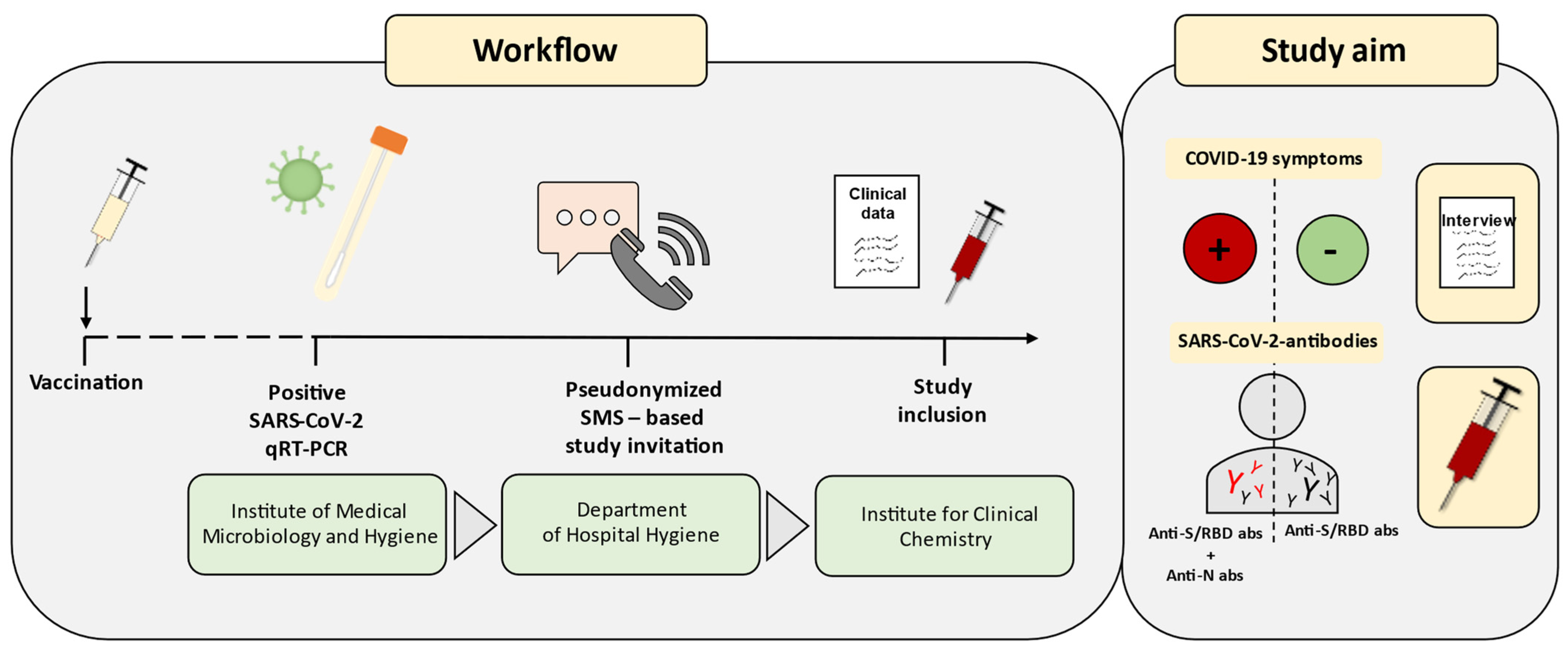 Vaccines 12 00163 g001