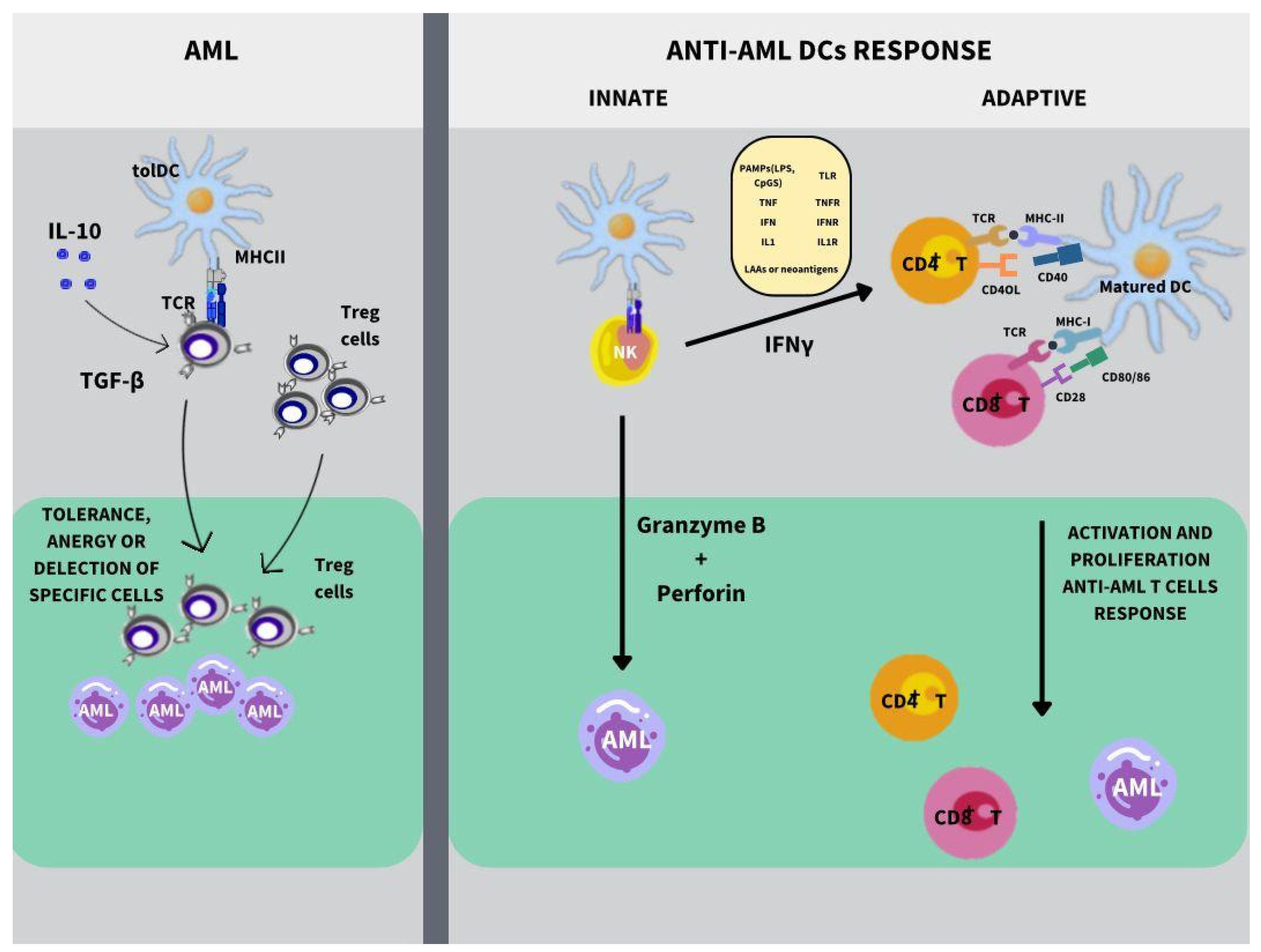 Vaccines 12 00165 g001