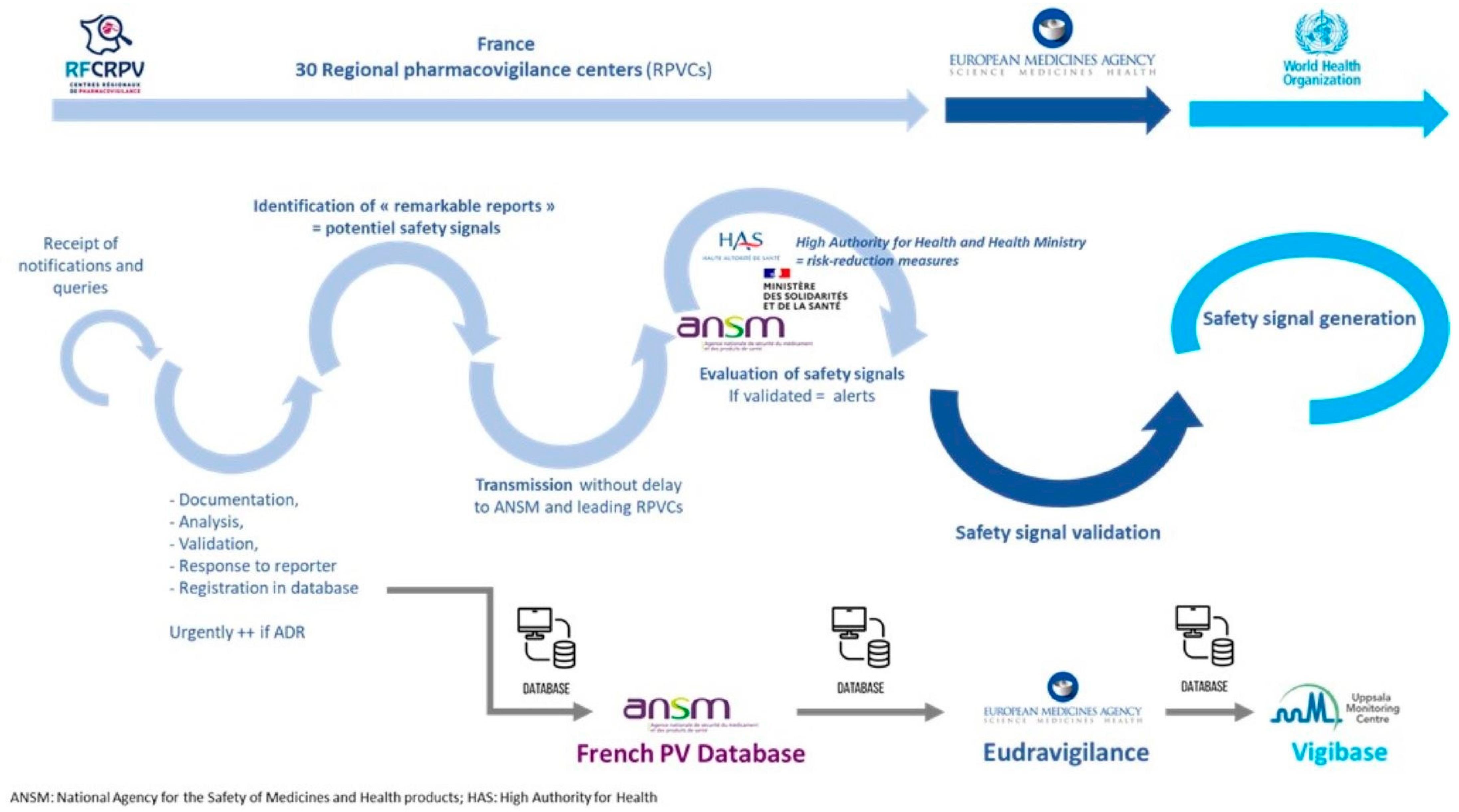 Vaccines 12 00181 g002