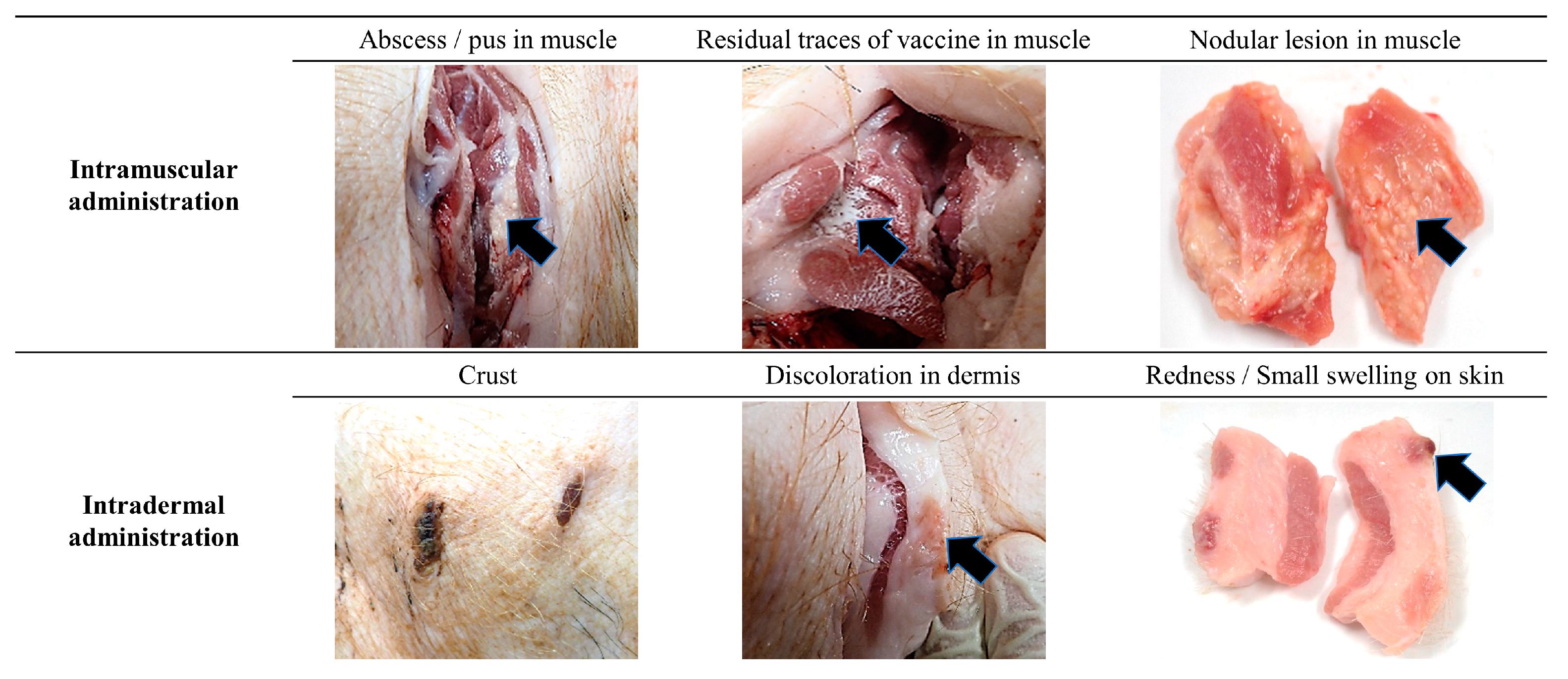 Vaccines 12 00190 g002