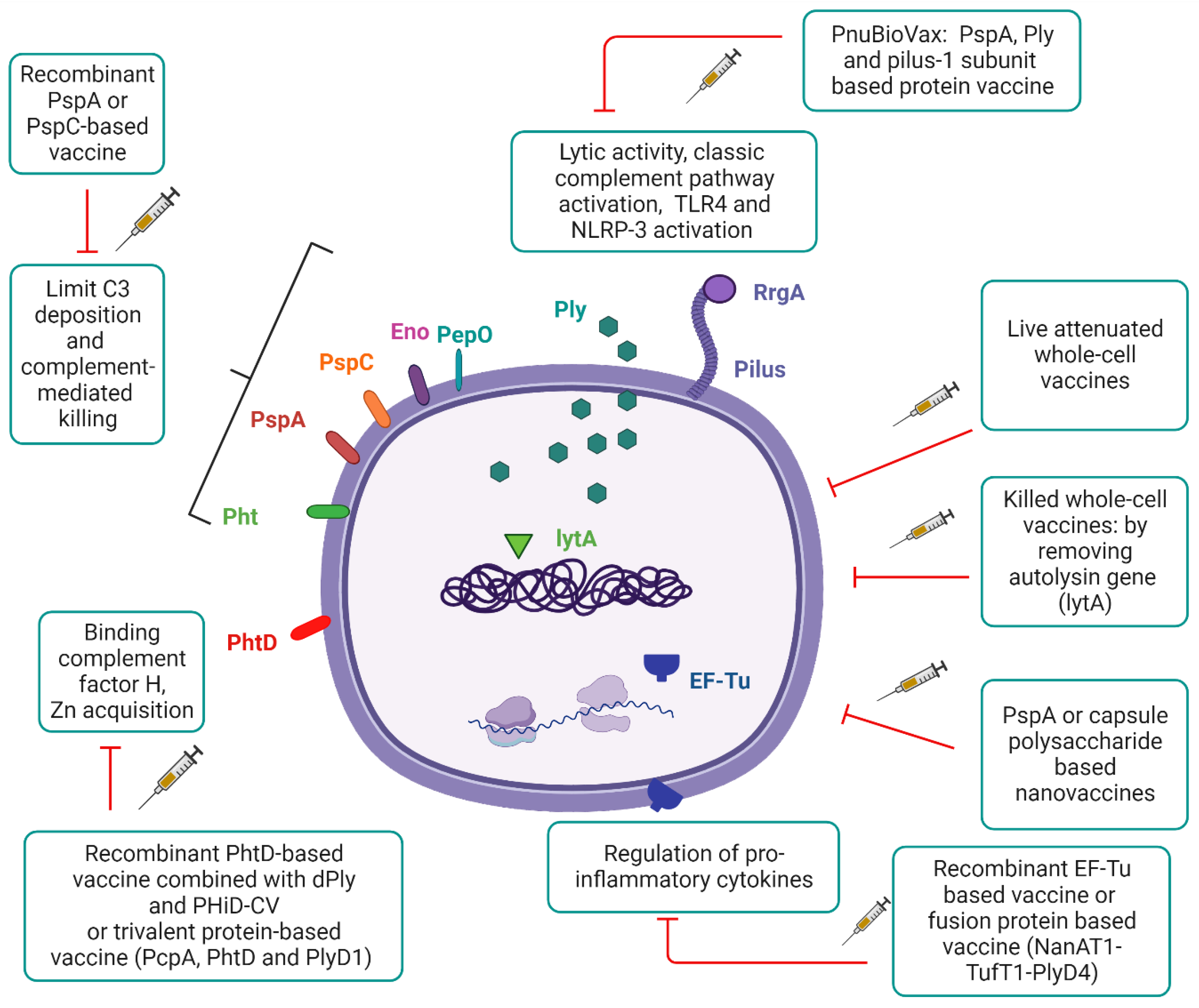 Vaccines 12 00213 g002 Vaccines 12 00213 g002