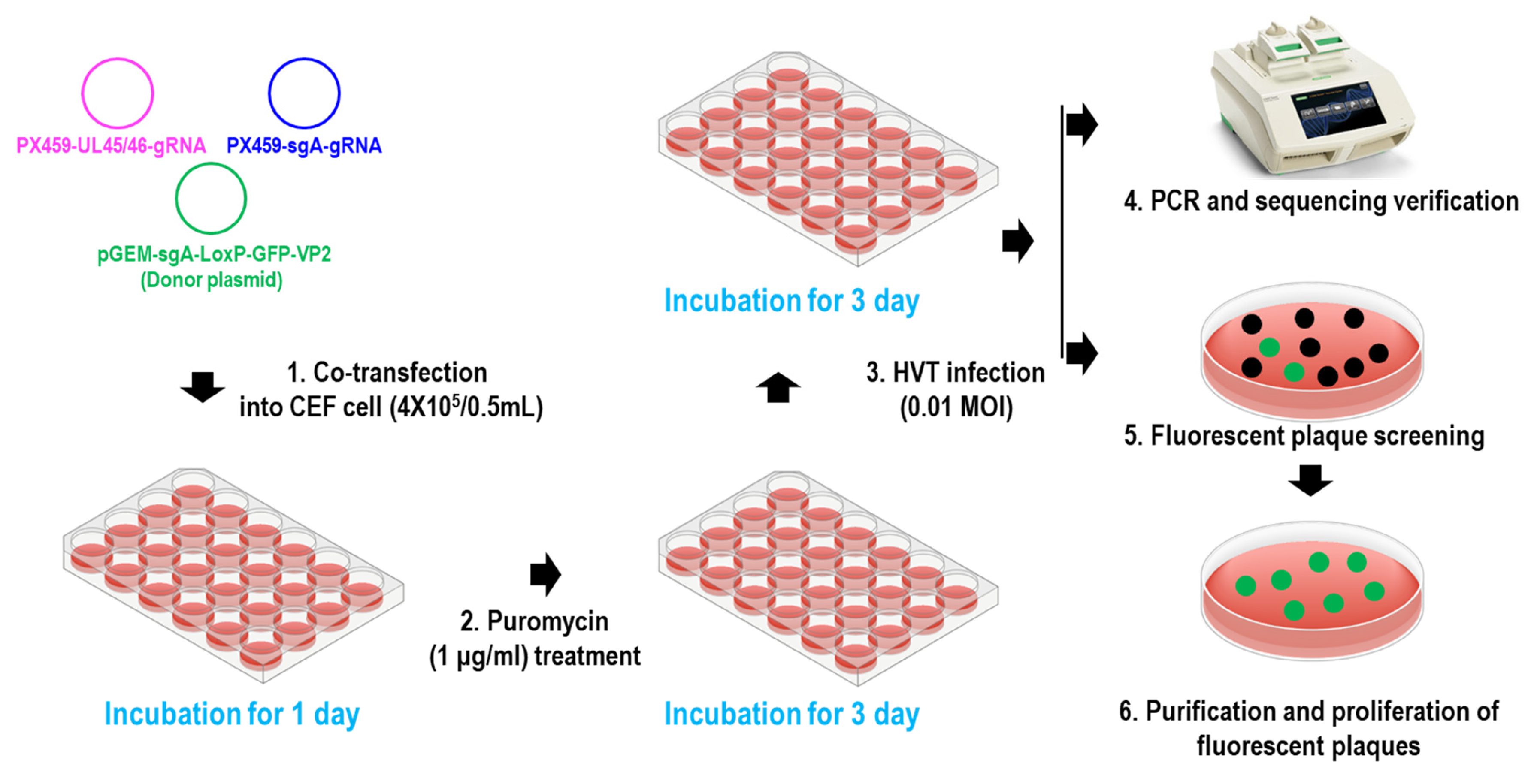 Vaccines 12 00226 g002