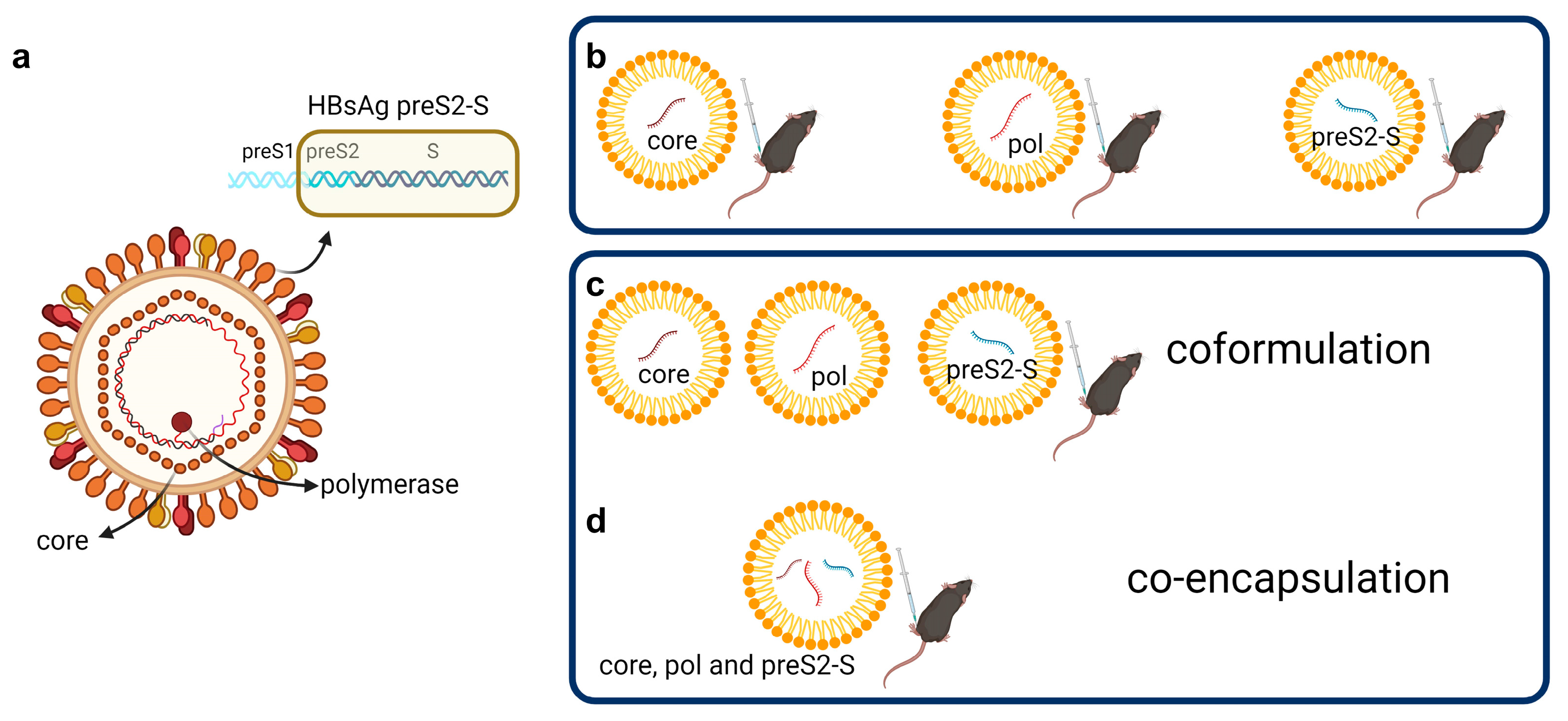 Vaccines 12 00237 g001
