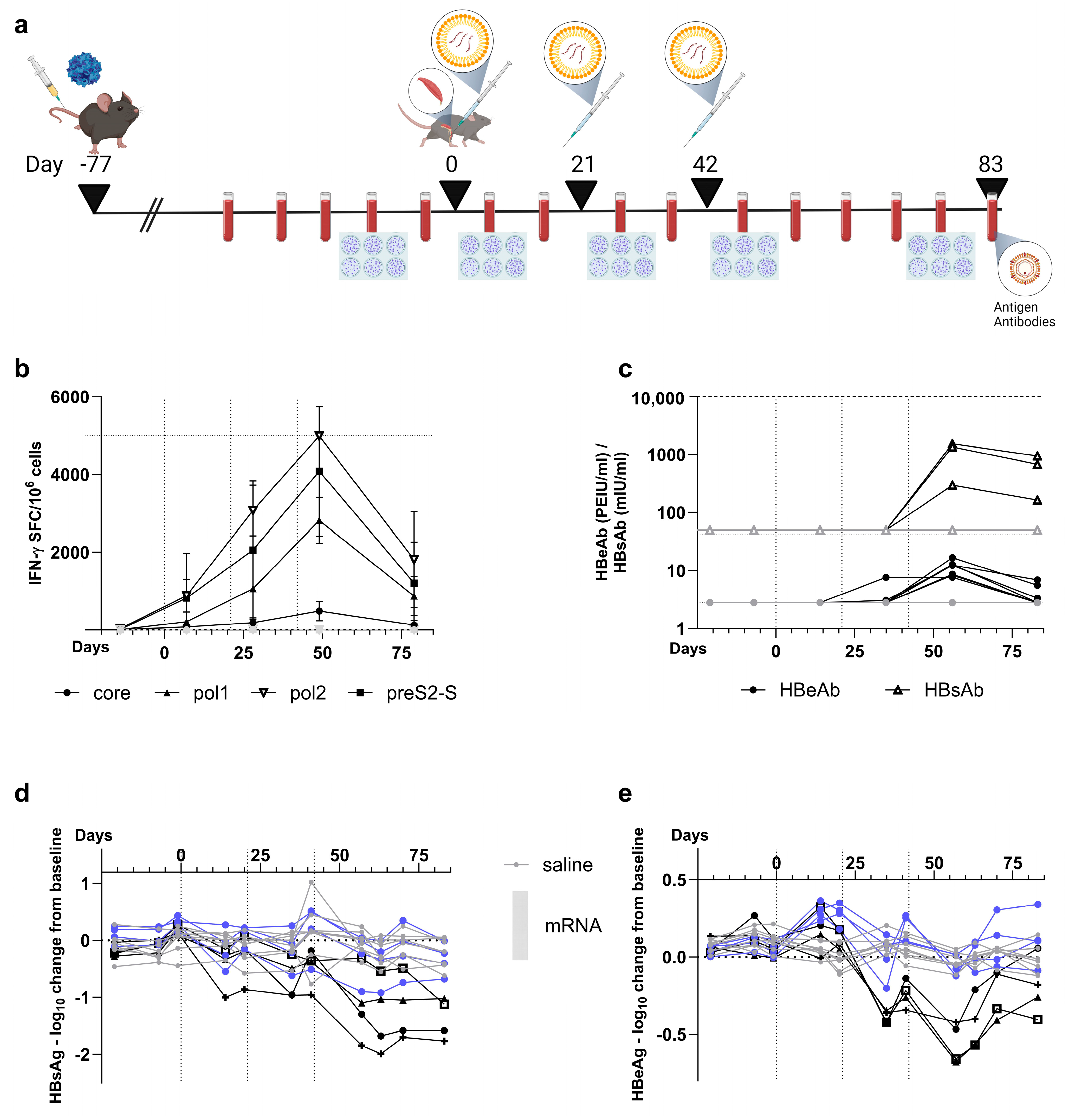 Vaccines 12 00237 g006