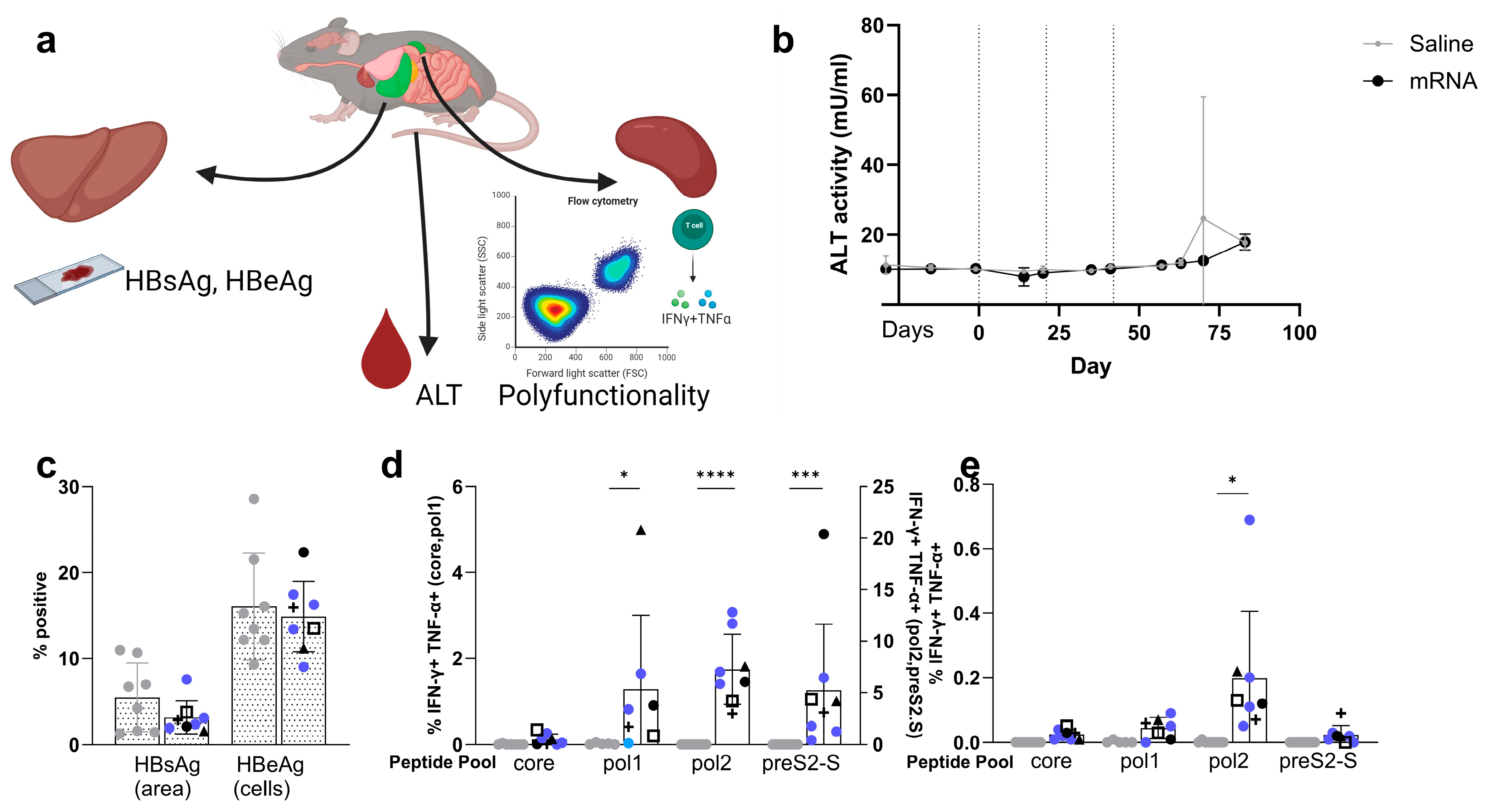 Vaccines 12 00237 g007