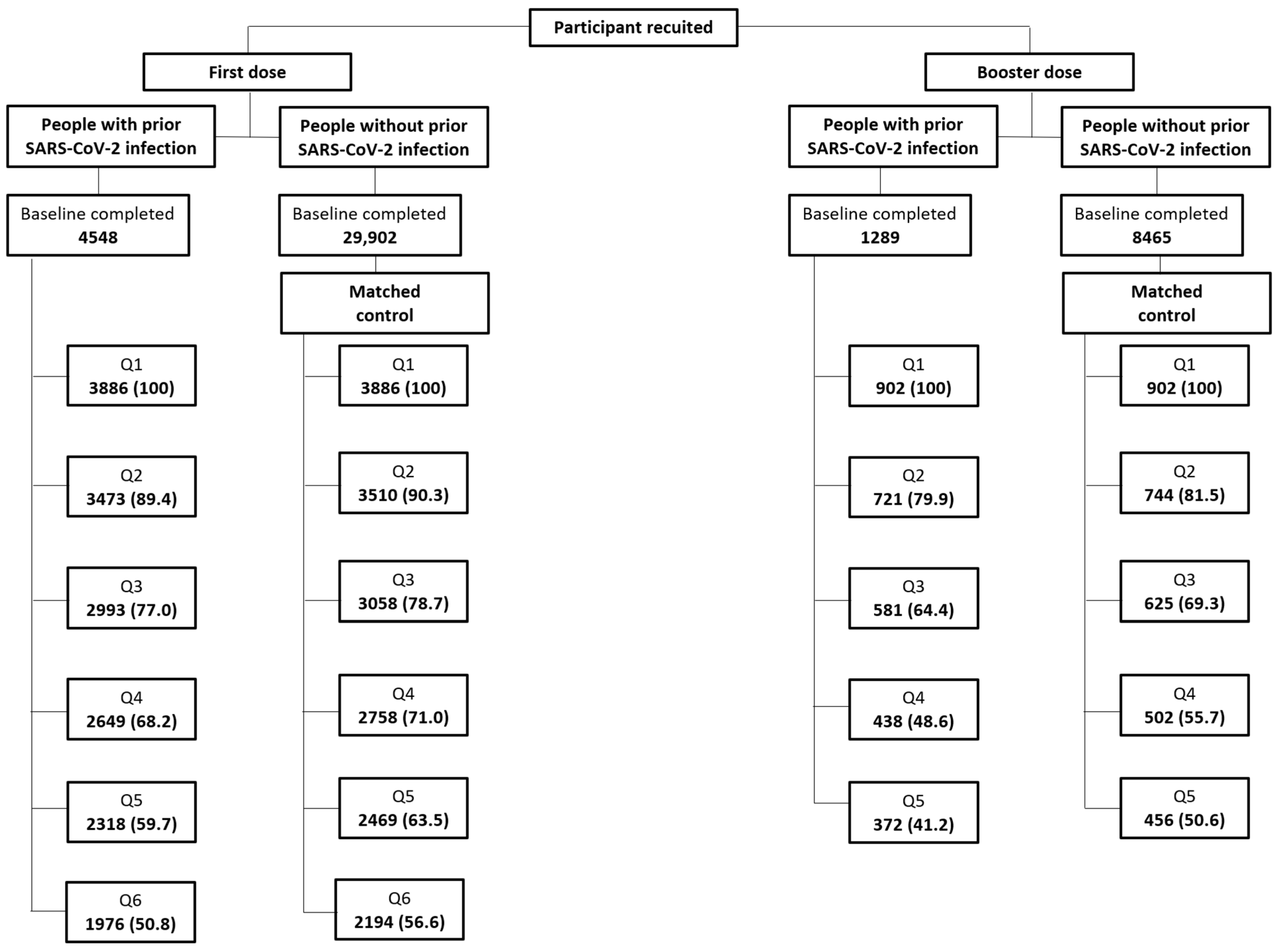 Vaccines 12 00241 g002