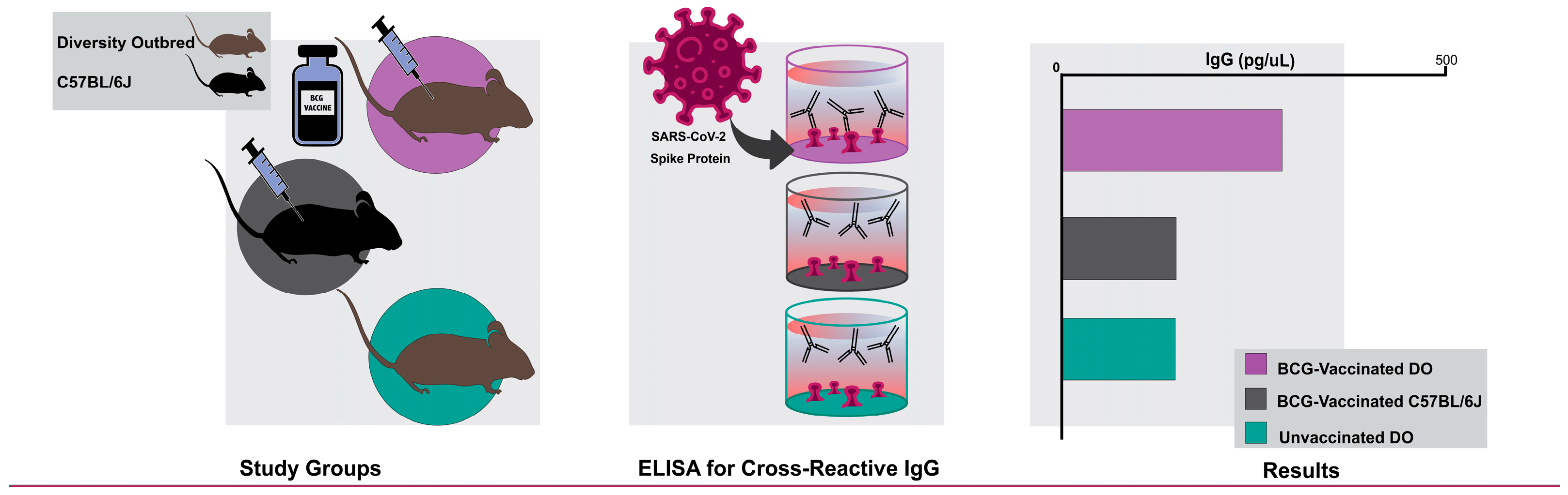 Vaccines 12 00242 g001