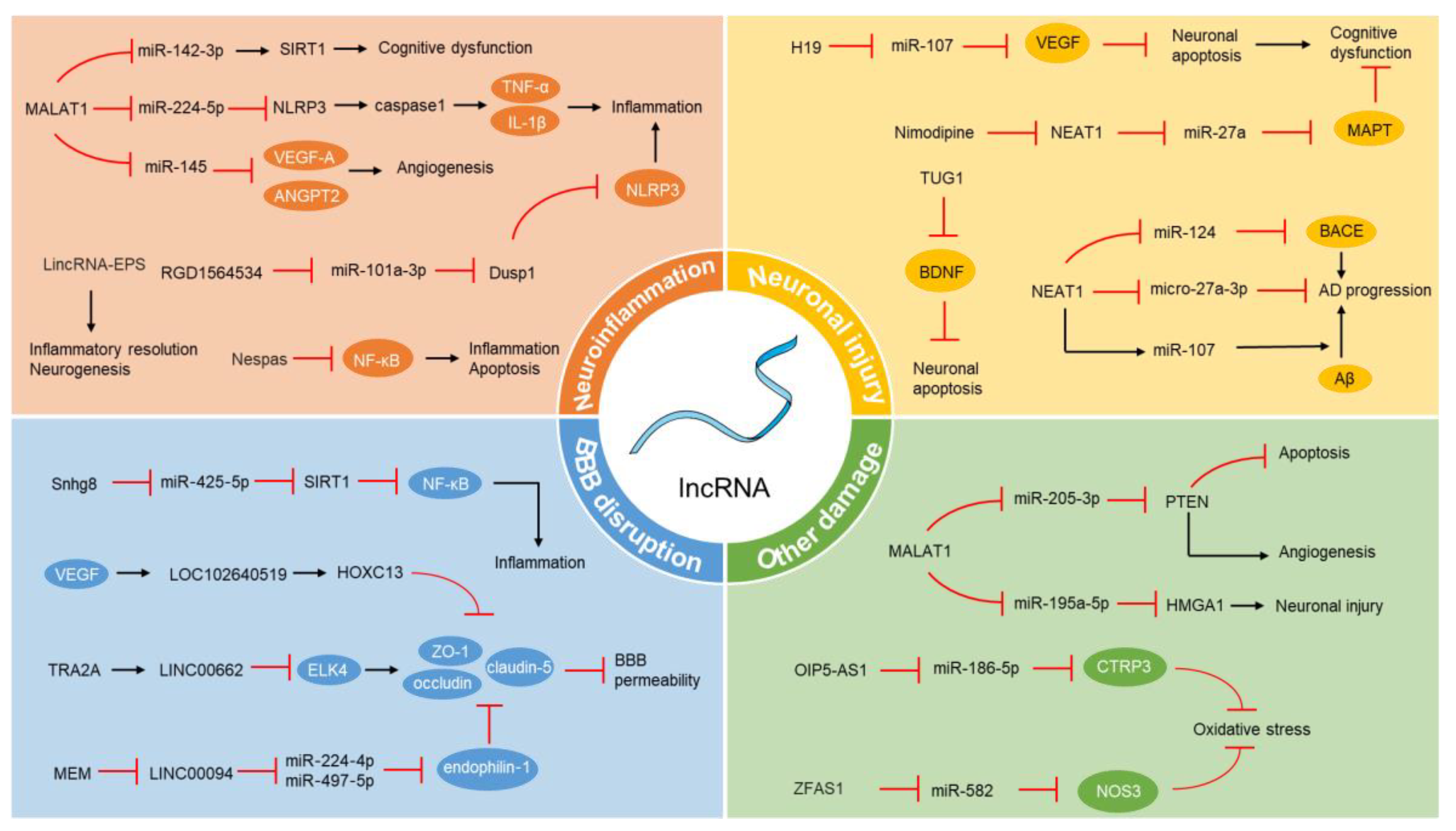 Vaccines 12 00251 g001