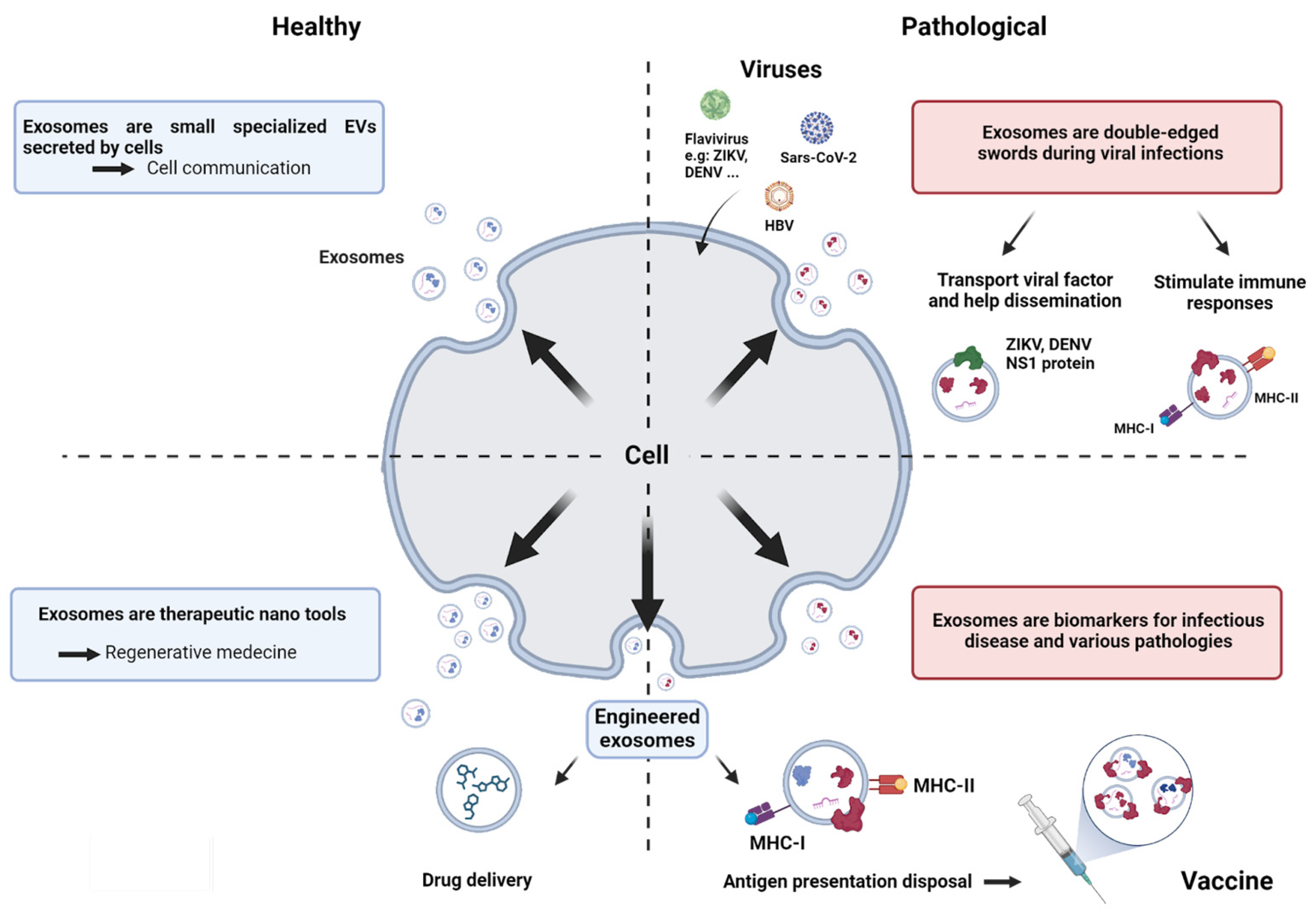 Vaccines 12 00280 g001