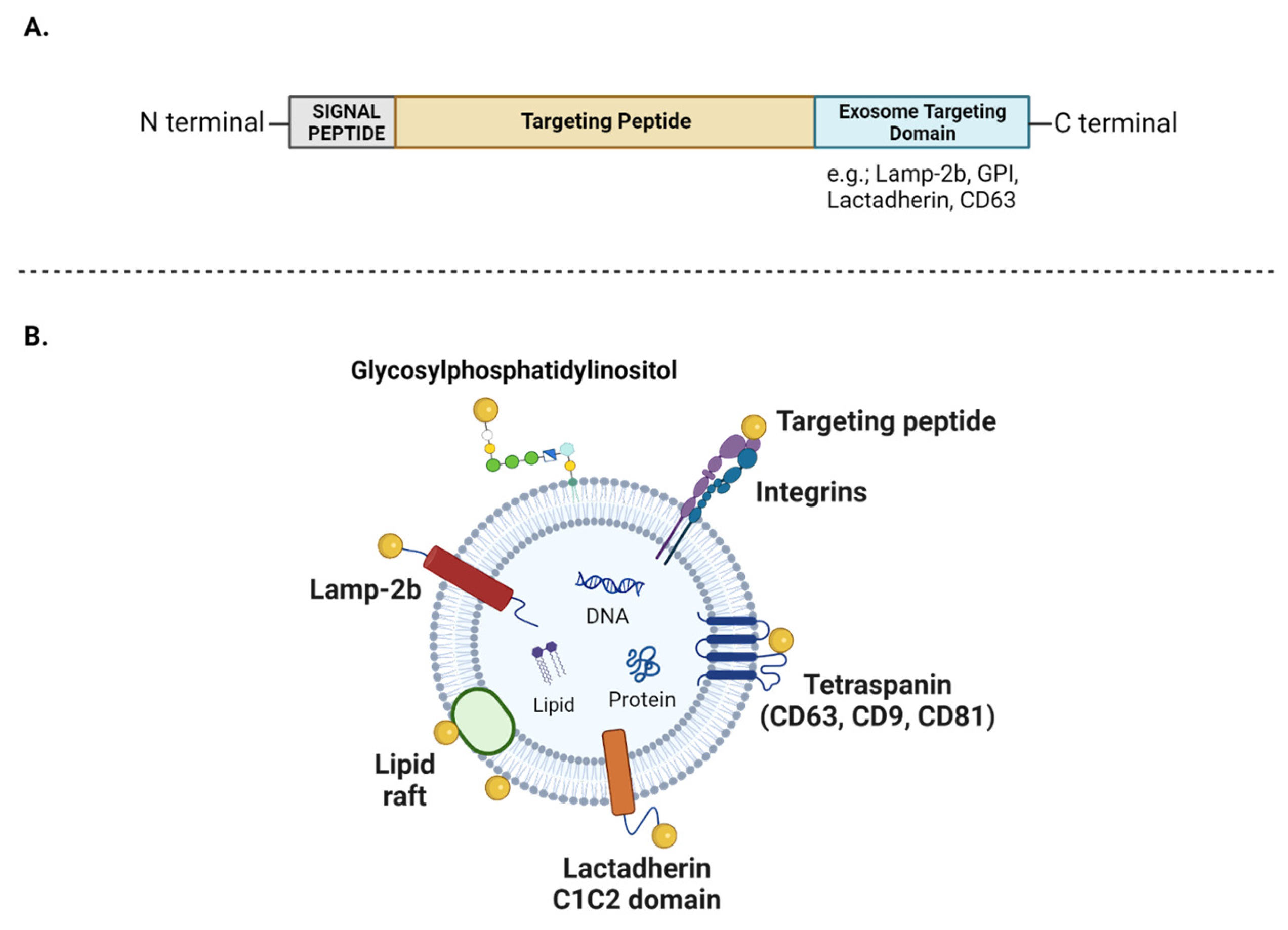 Vaccines 12 00280 g005