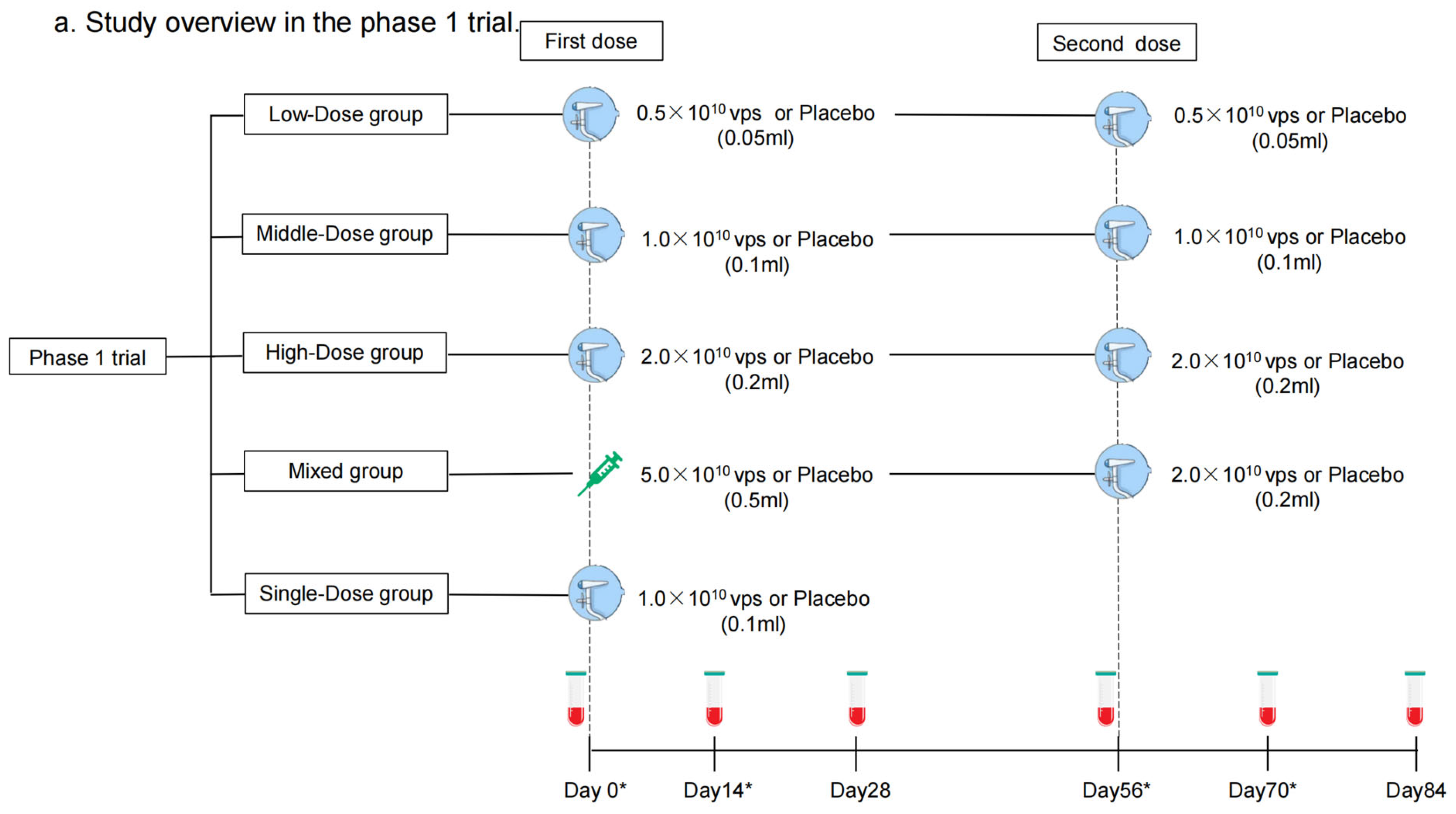 Vaccines 12 00292 g001a