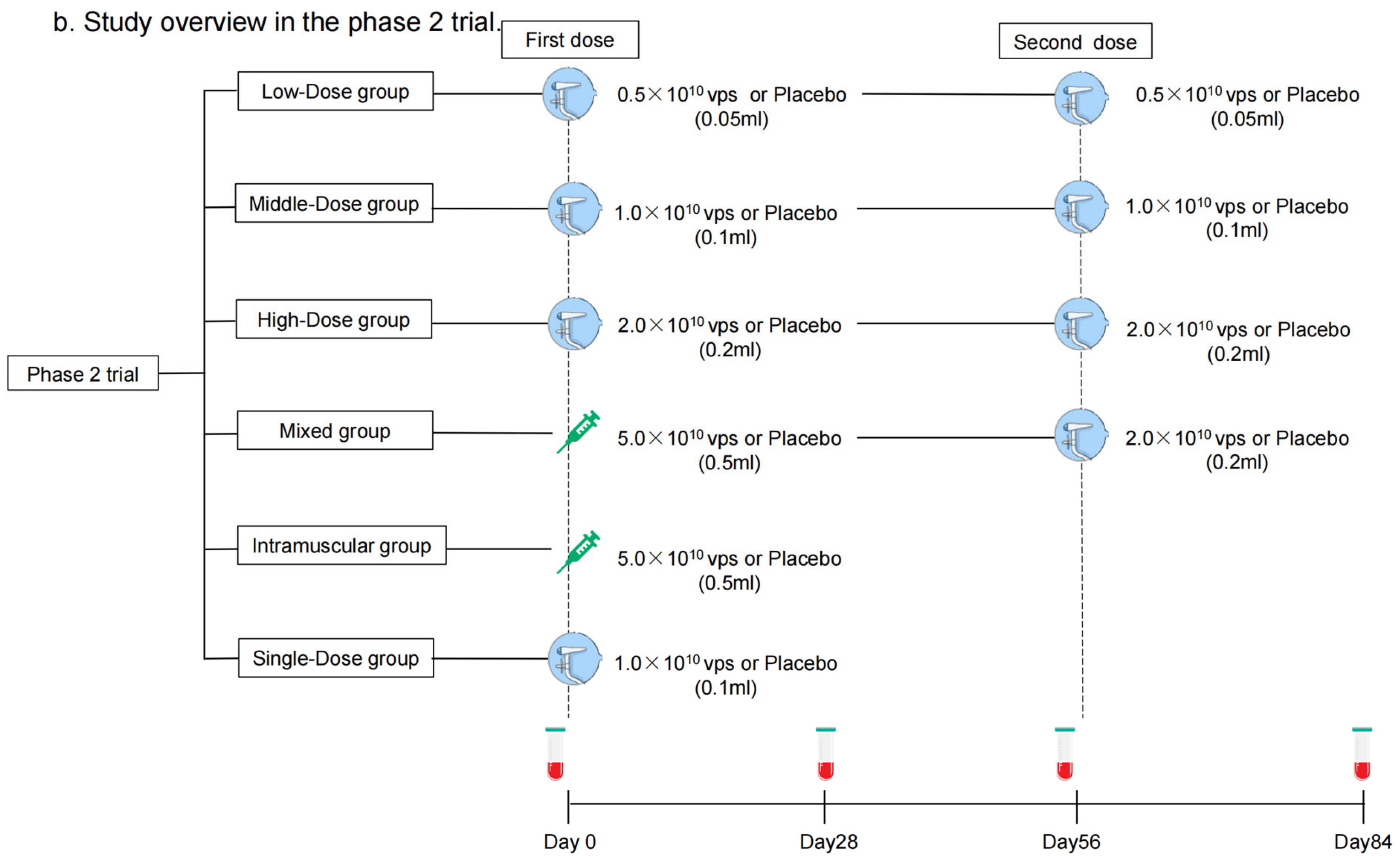 Vaccines 12 00292 g001b