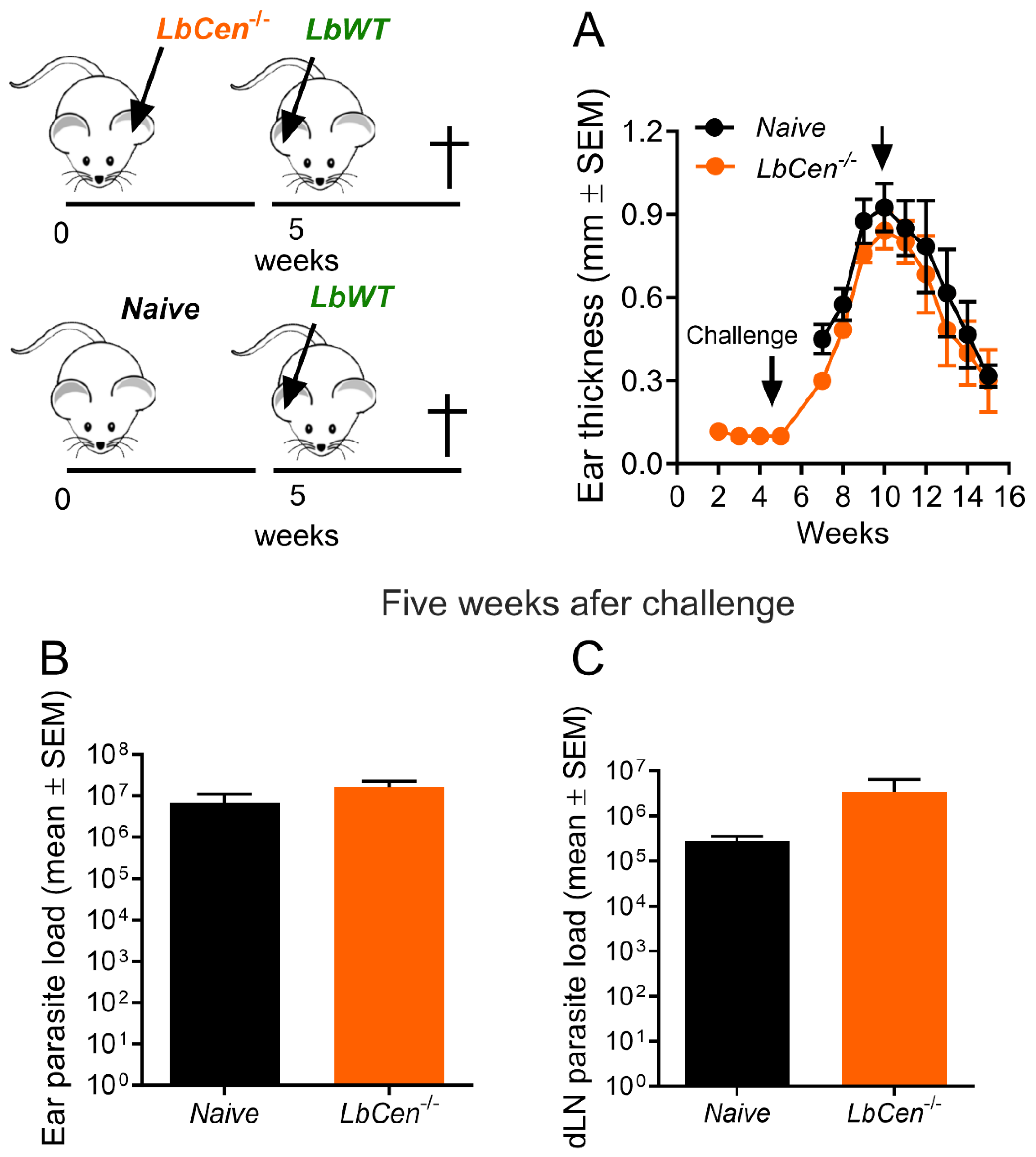 Vaccines 12 00310 g004