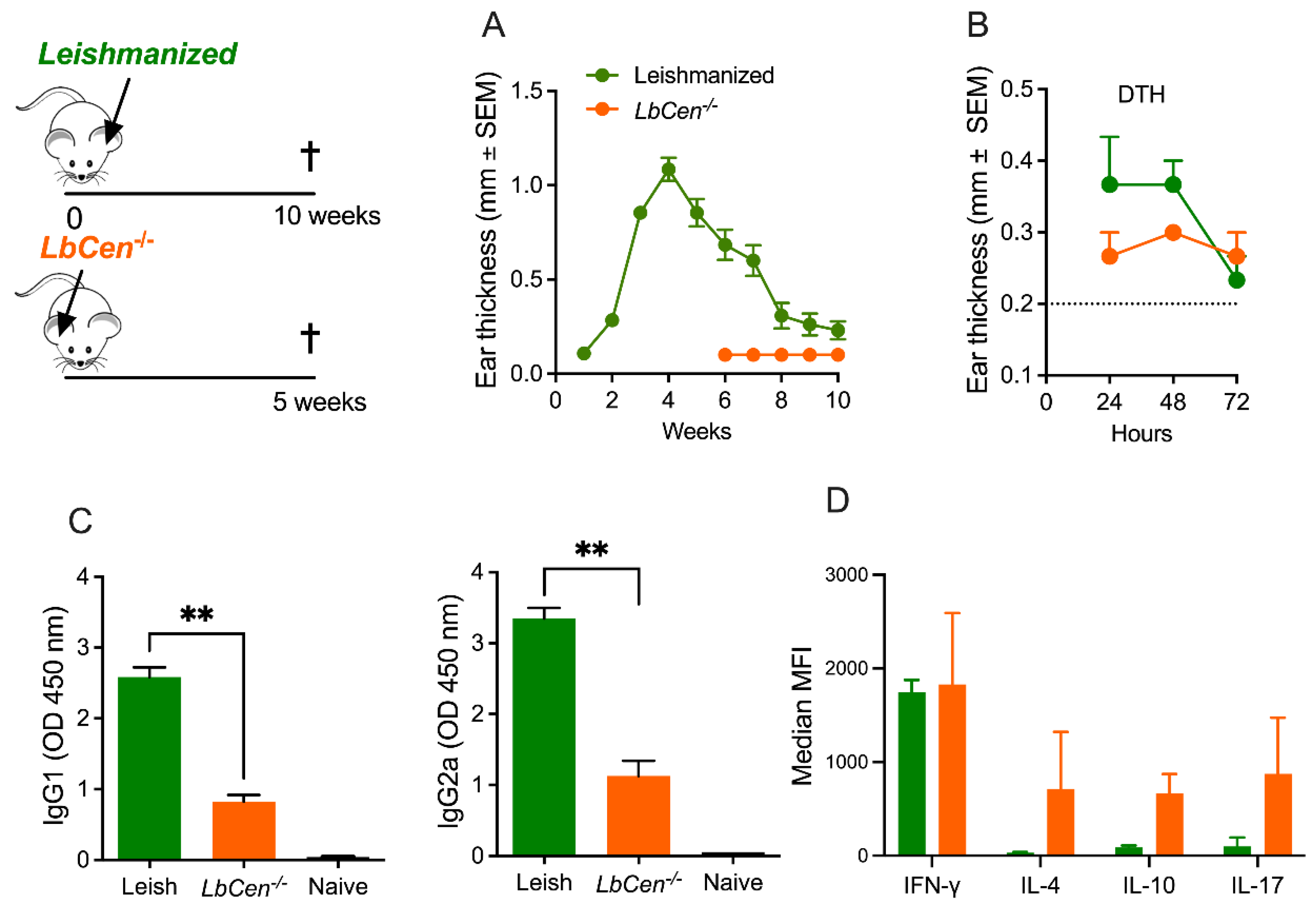 Vaccines 12 00310 g005