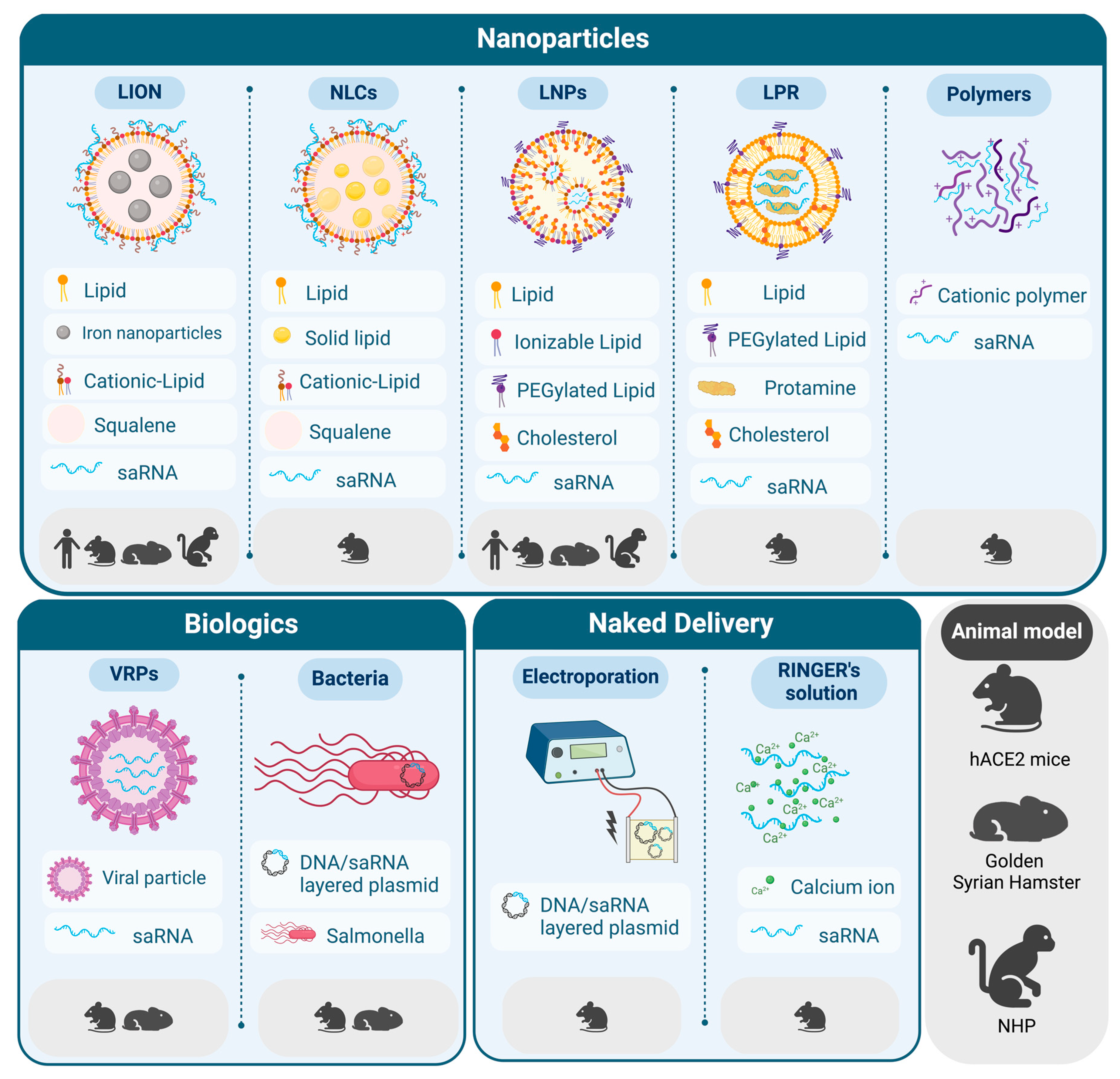 Vaccines 12 00318 g002