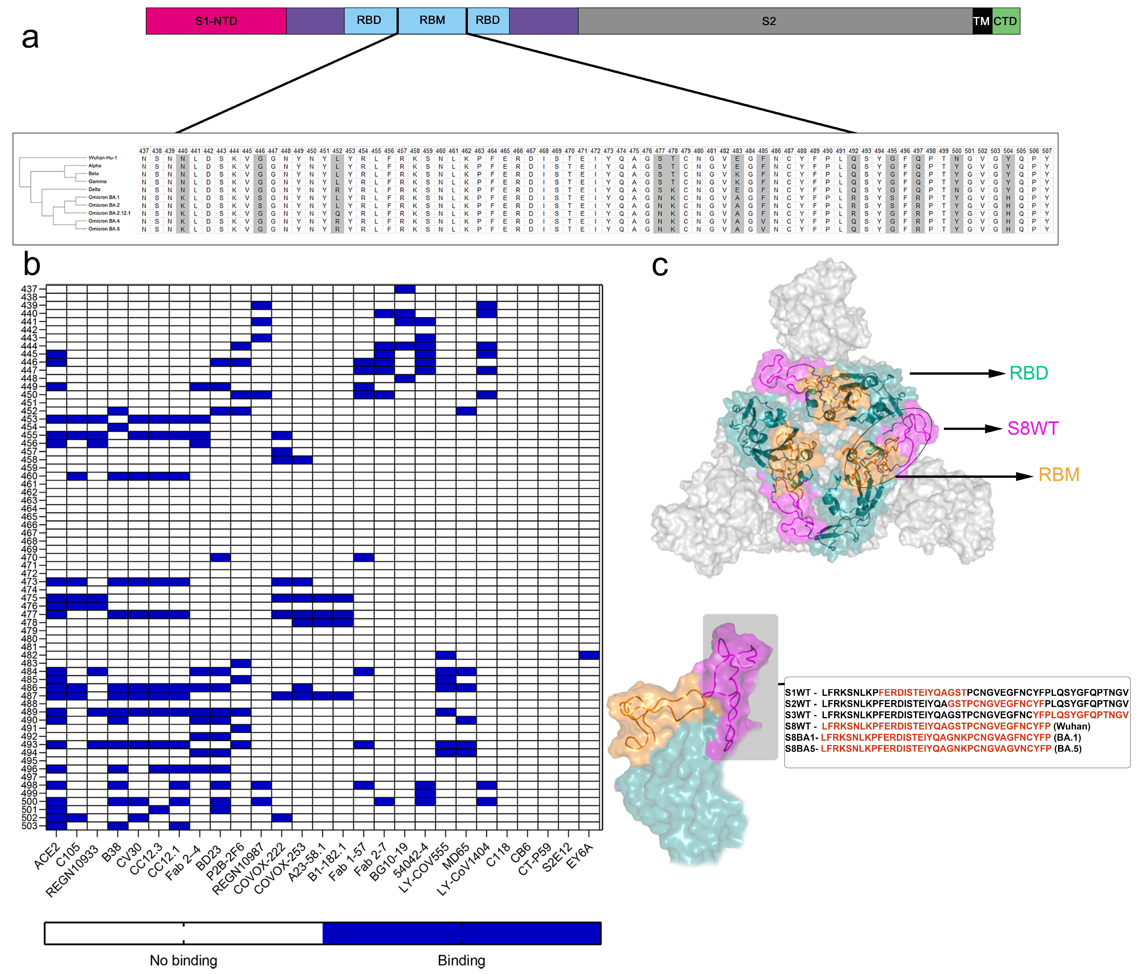 Vaccines 12 00342 g001