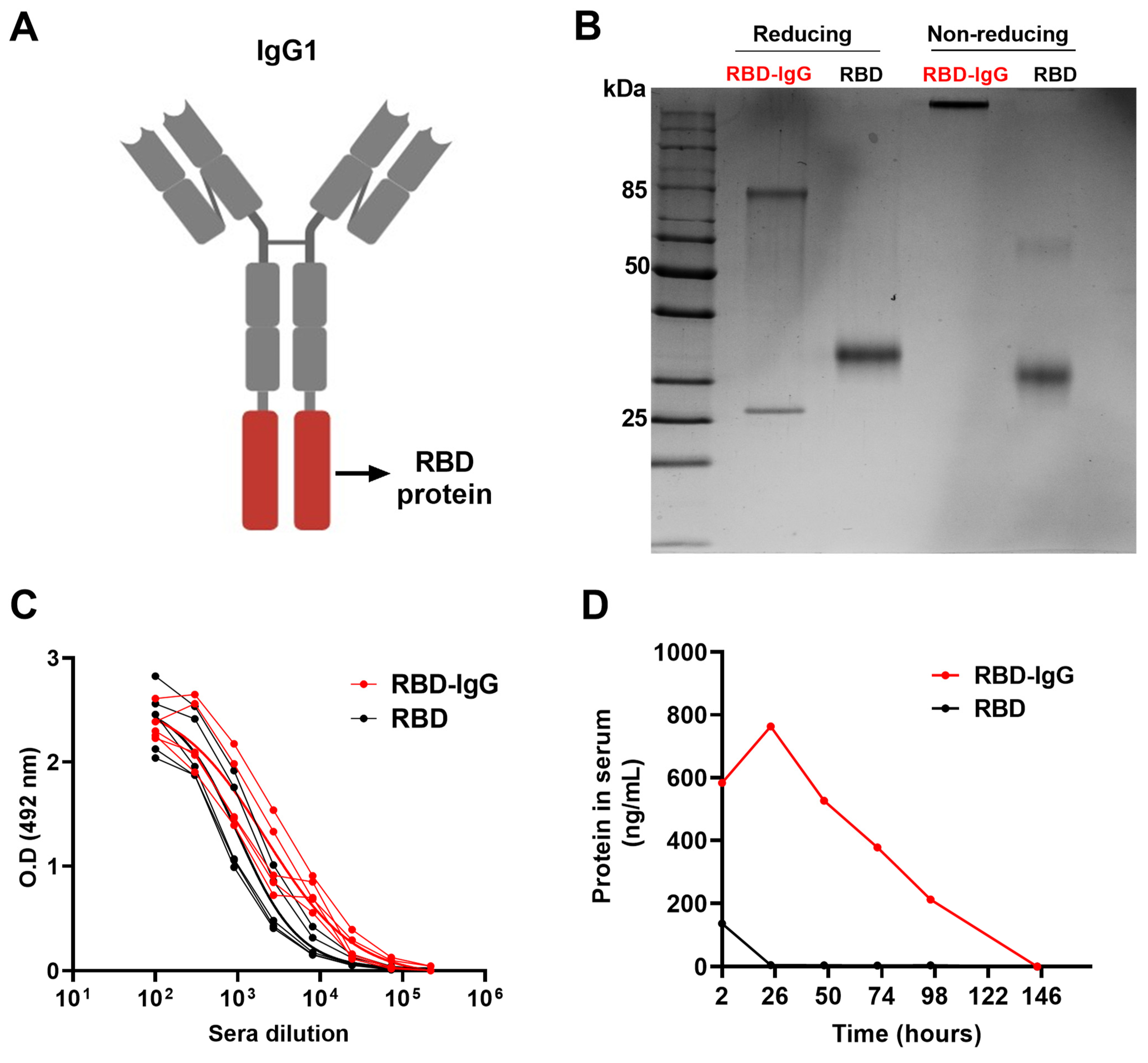Vaccines 12 00356 g001 Vaccines 12 00356 g001