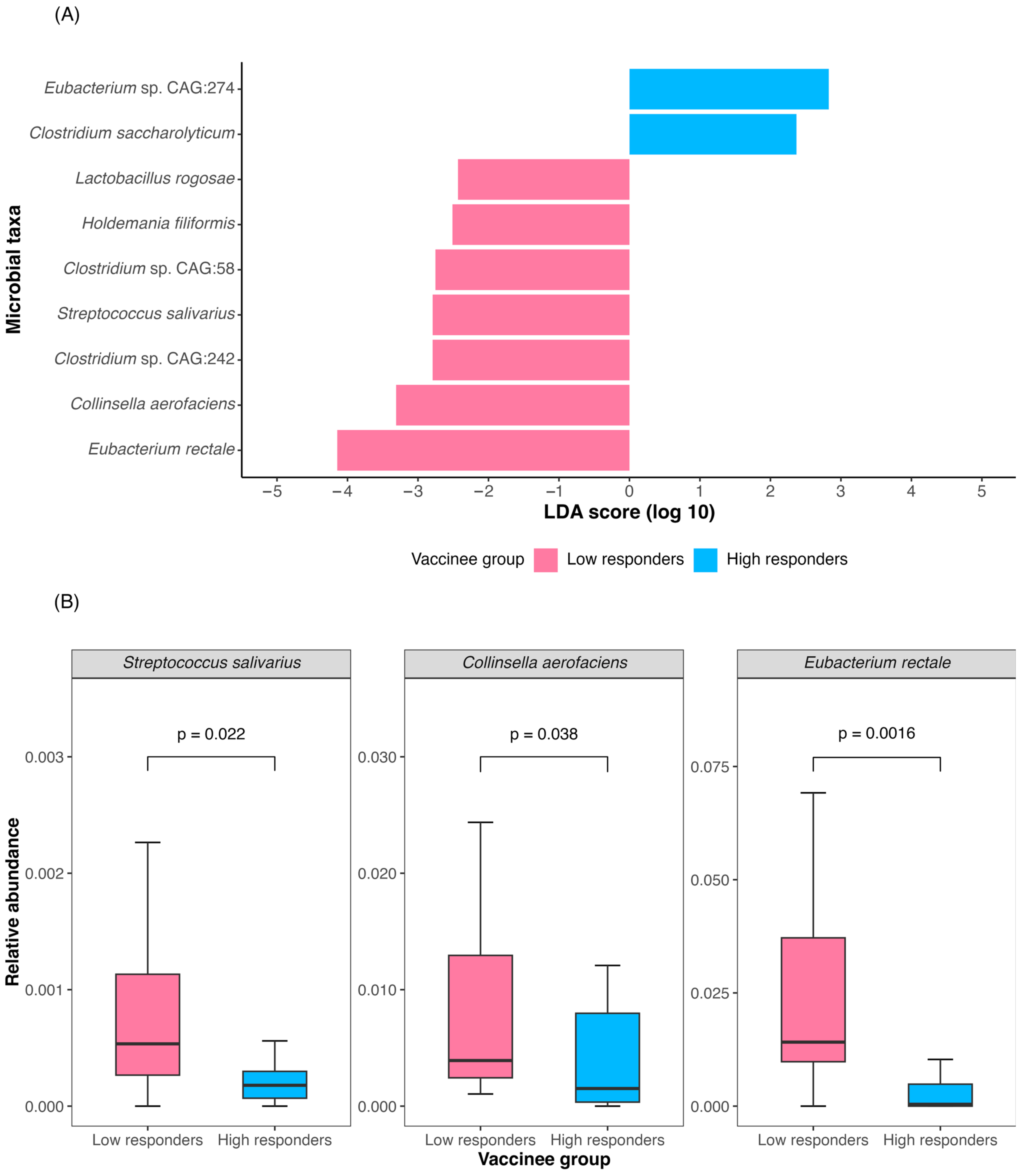 Vaccines 12 00365 g001