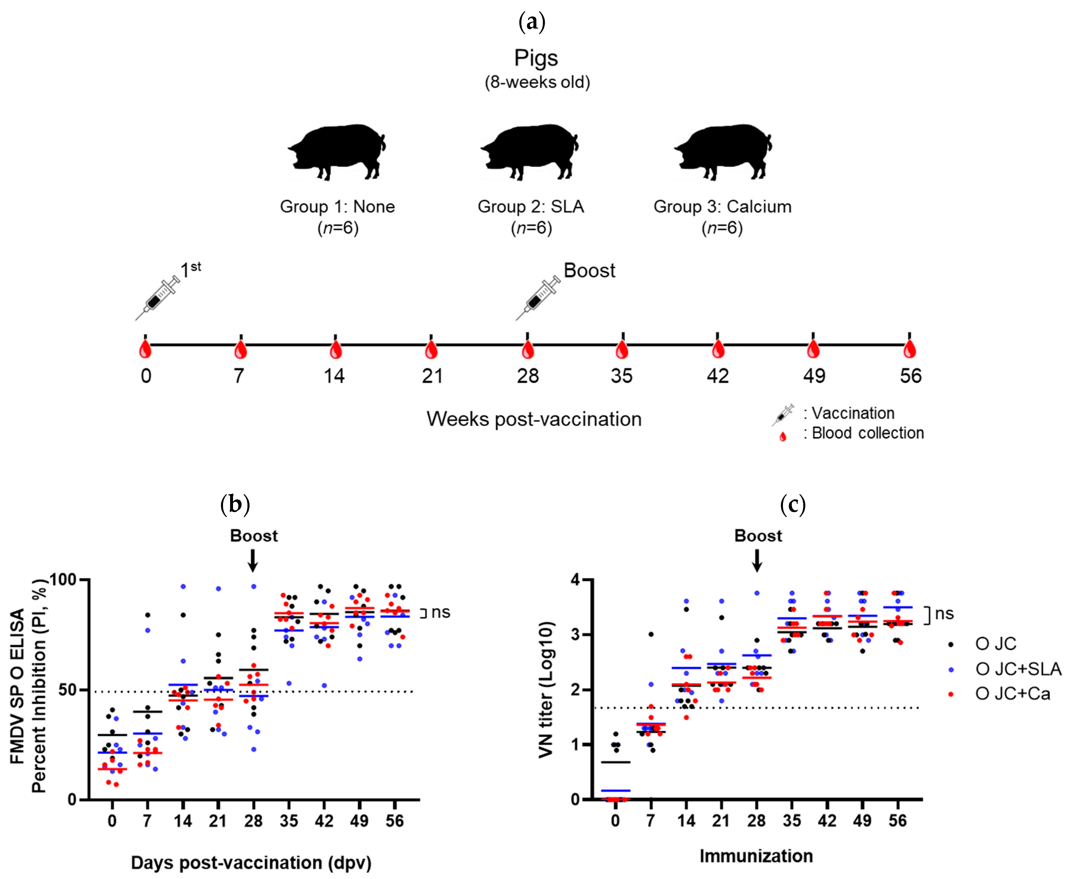 Vaccines 12 00367 g003