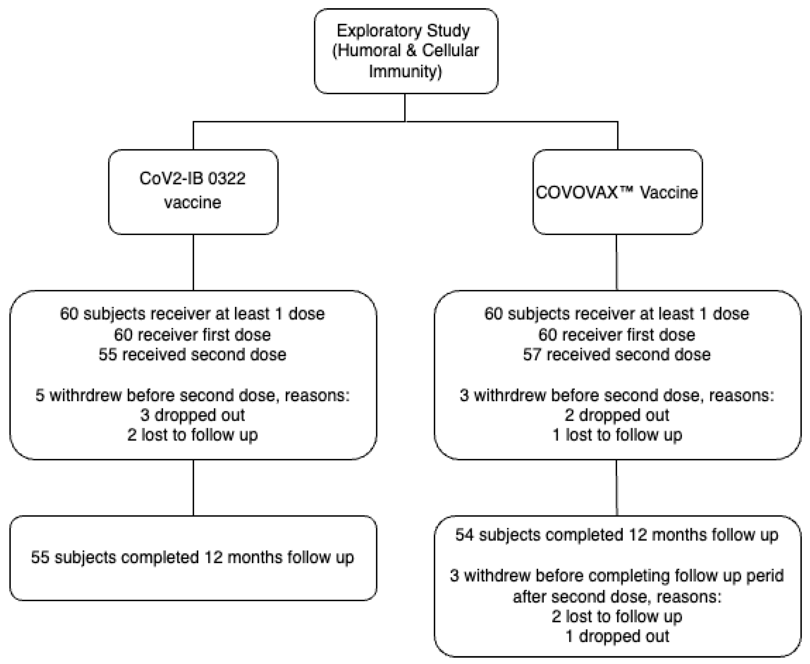Vaccines 12 00371 g001
