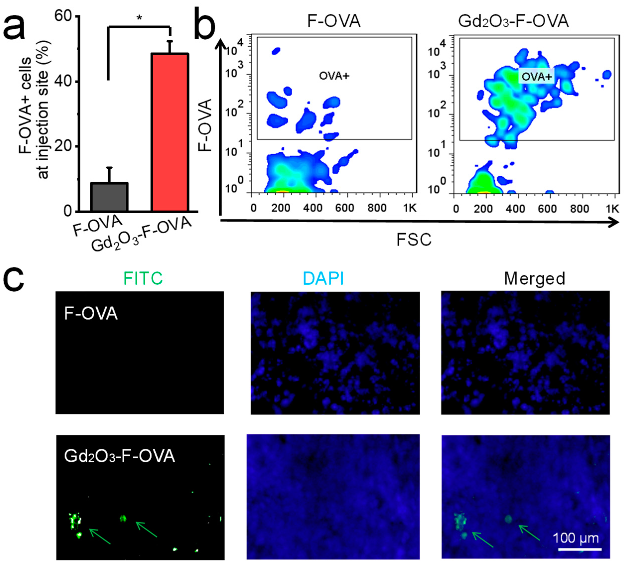 Vaccines 12 00373 g005