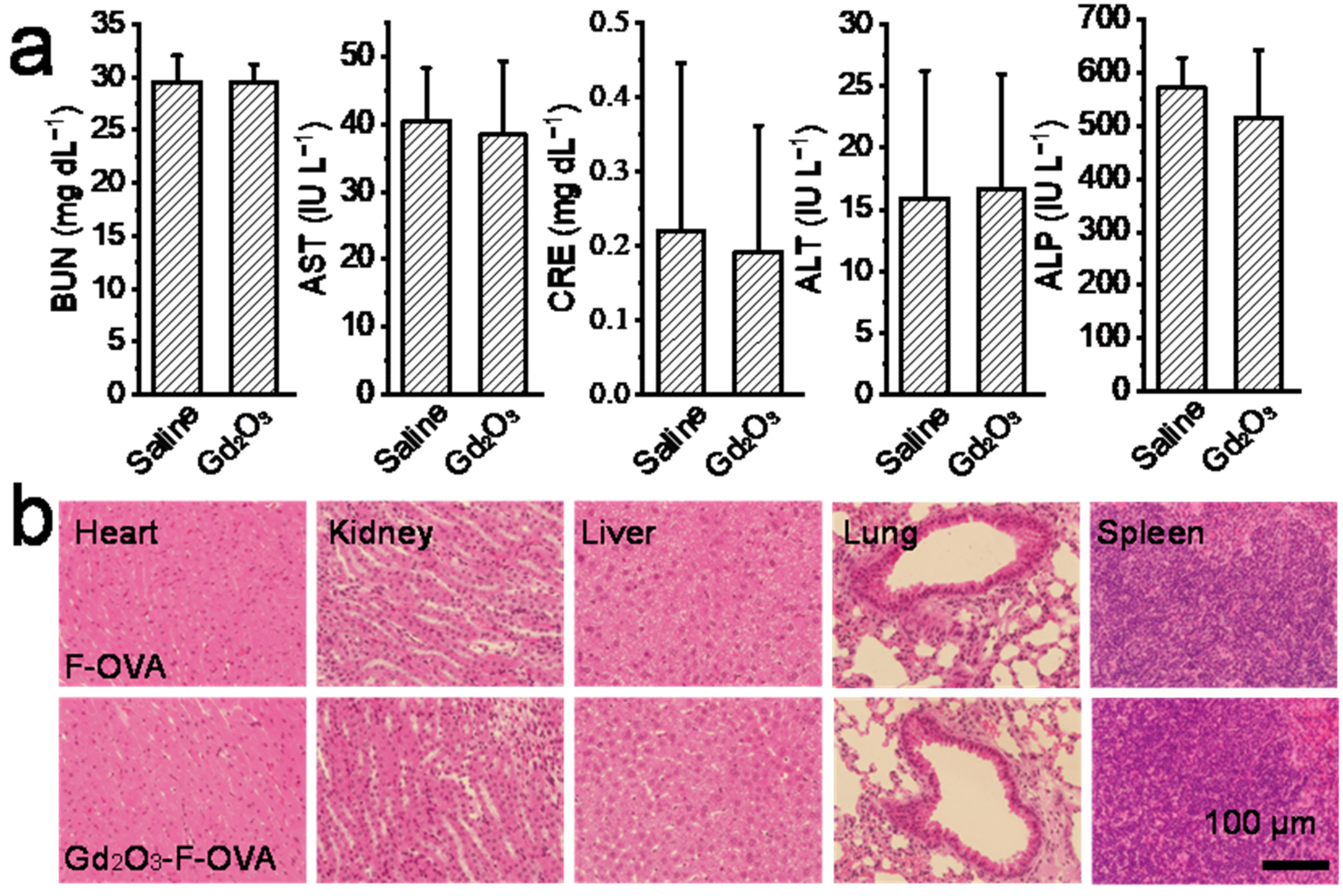 Vaccines 12 00373 g009