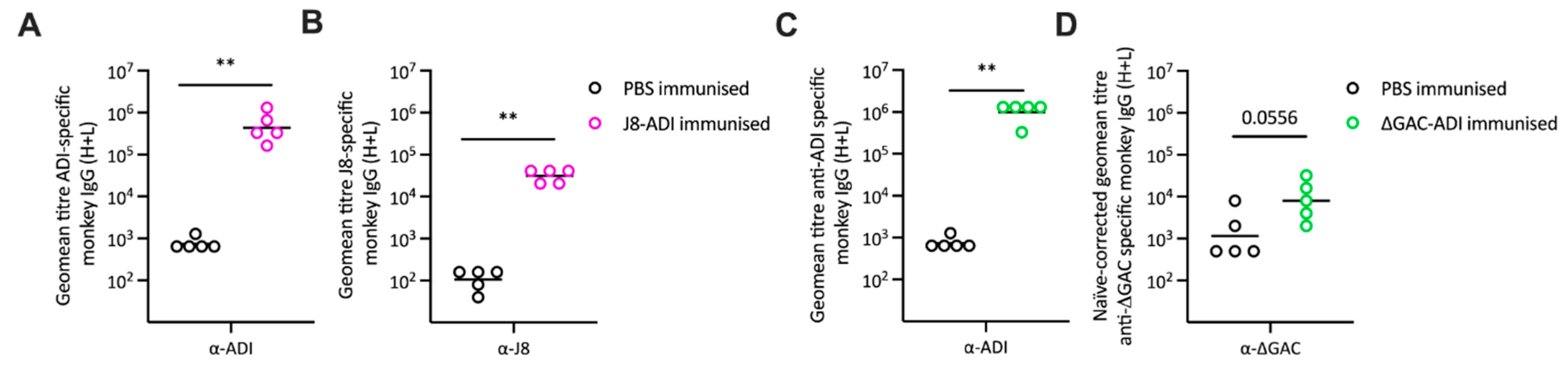 Vaccines 12 00382 g001