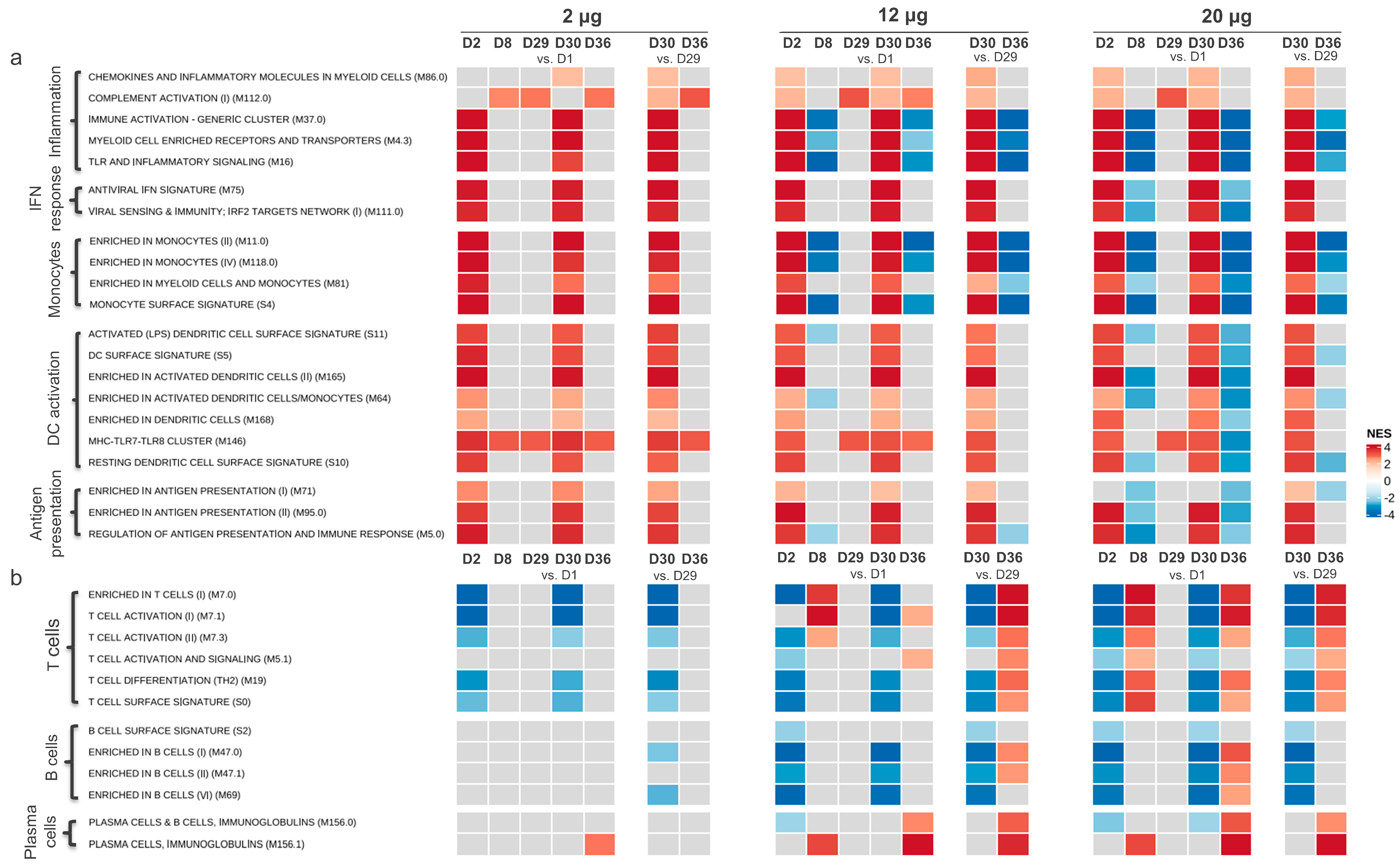 Vaccines 12 00388 g001