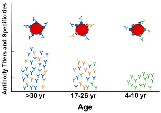 Vaccines 12 00389 g001
