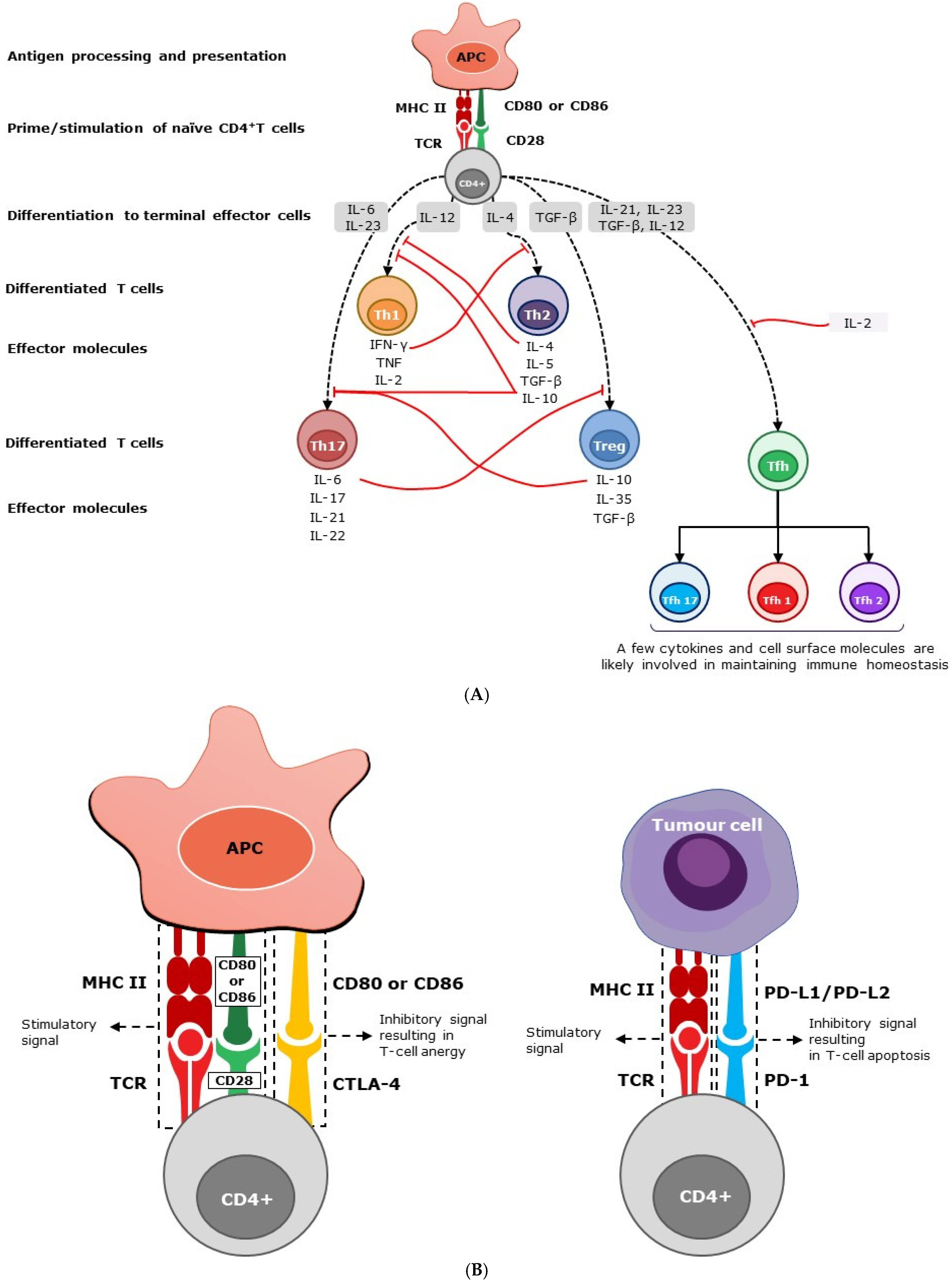 Vaccines 12 00396 g001 Vaccines 12 00396 g001
