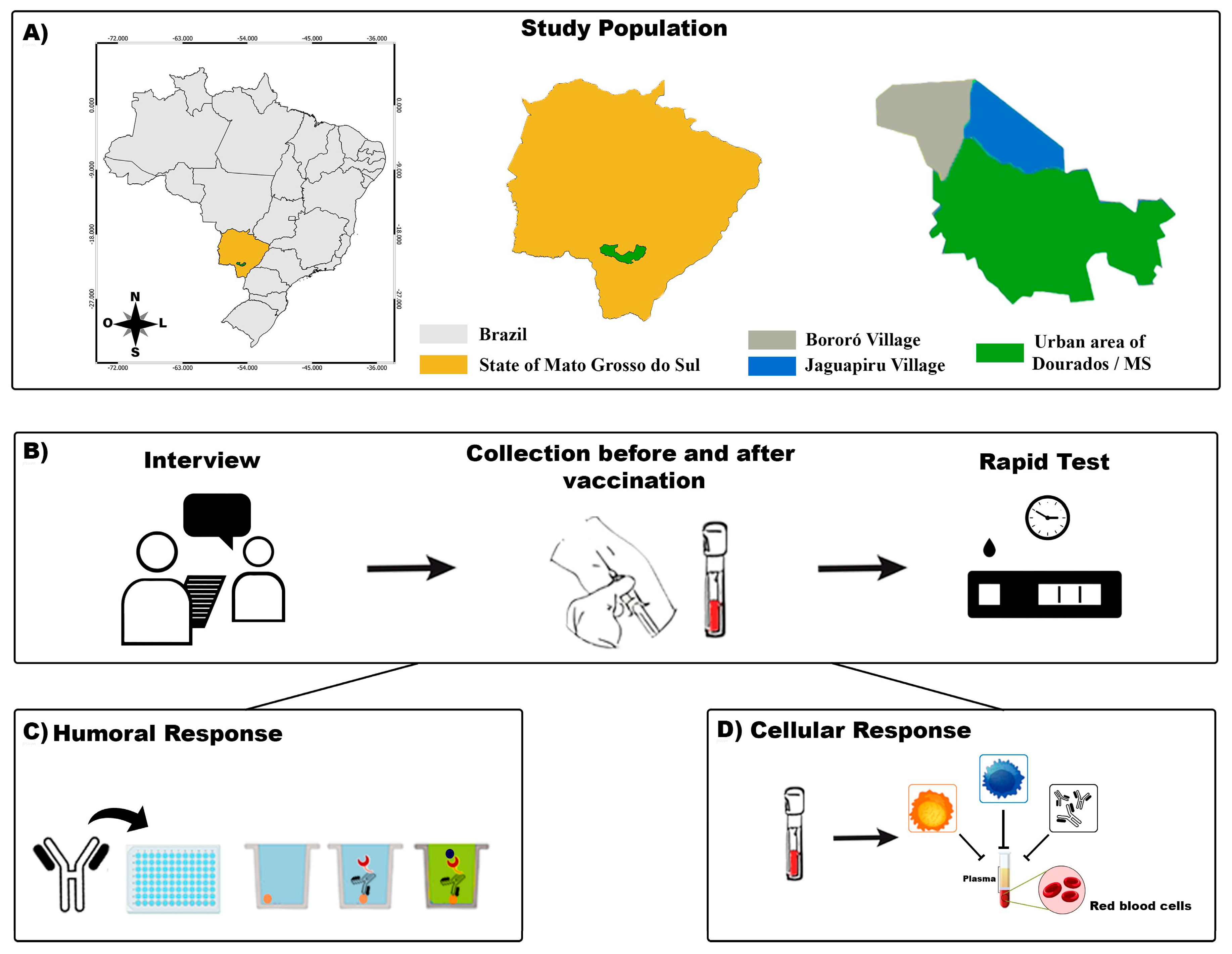 Vaccines 12 00402 g001